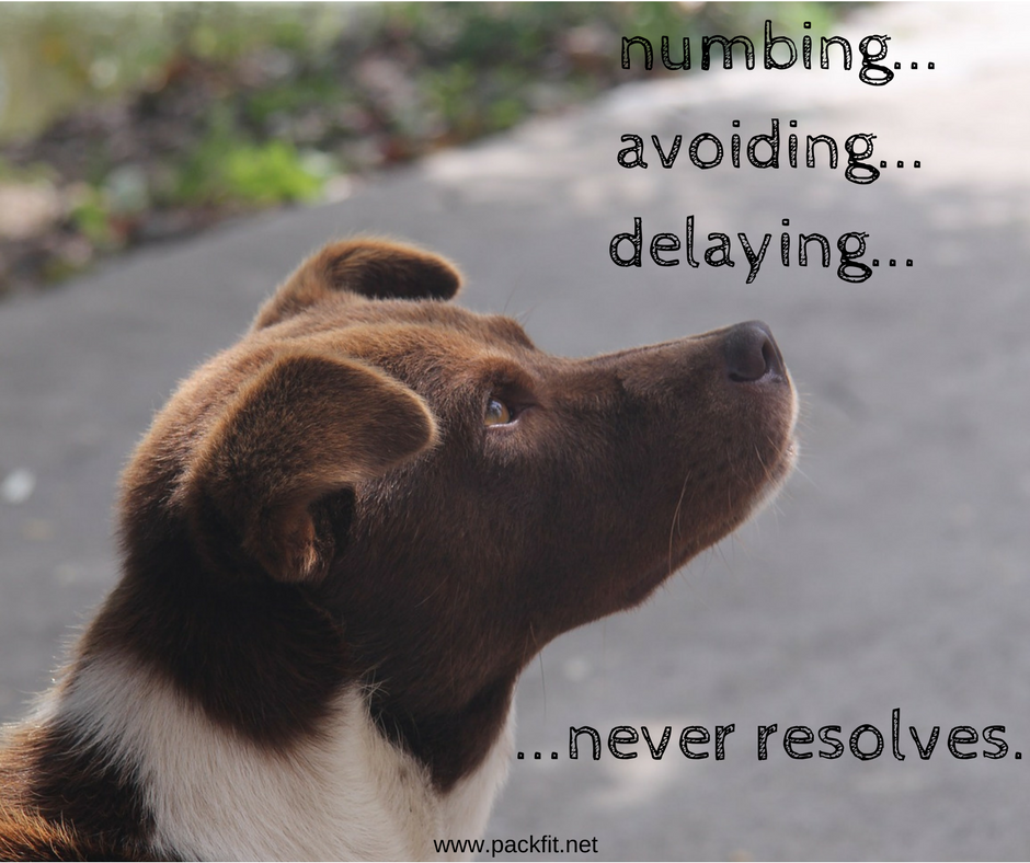 Numbing, avoiding, and delaying never resolves.