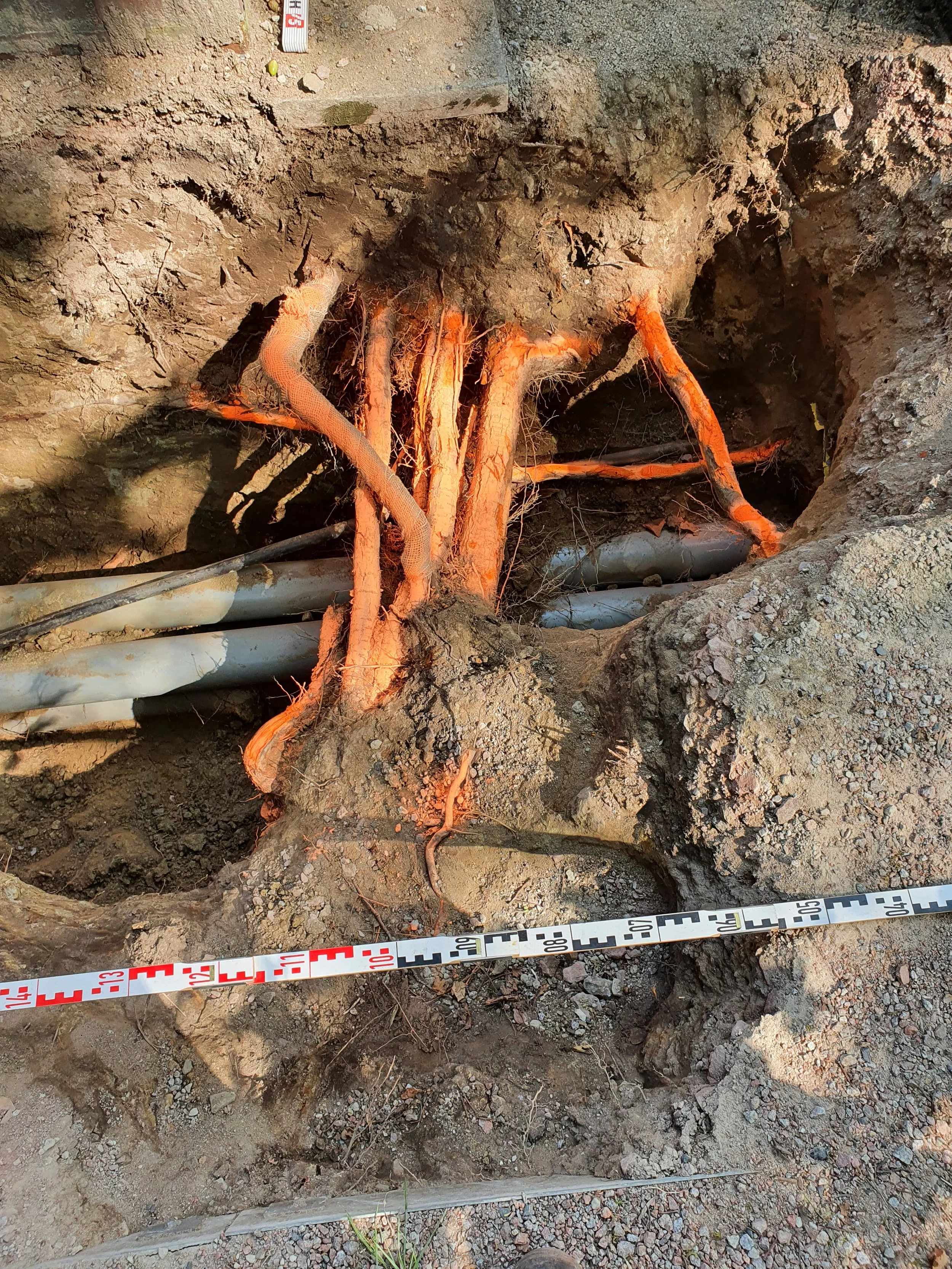 Boden und Erde mit vergrabenen Rohrleitungen und herausragenden Wurzeln, ein Messband liegt am Boden.