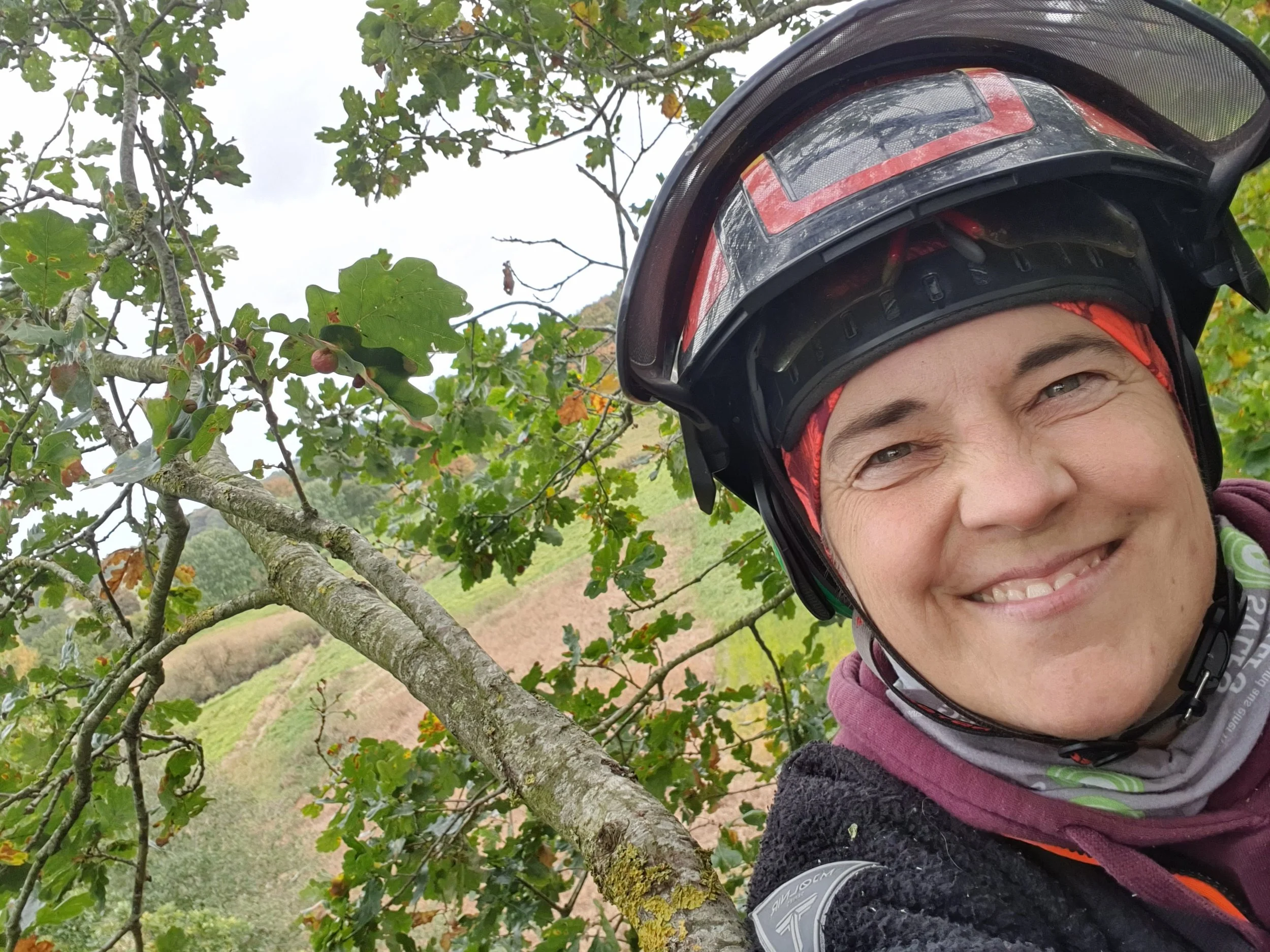 Baumpflegerin mit Helm und Schutzbrille, der einen Baum umarmt, umgeben von grünem Laub auf einer hügeligen Landschaft.