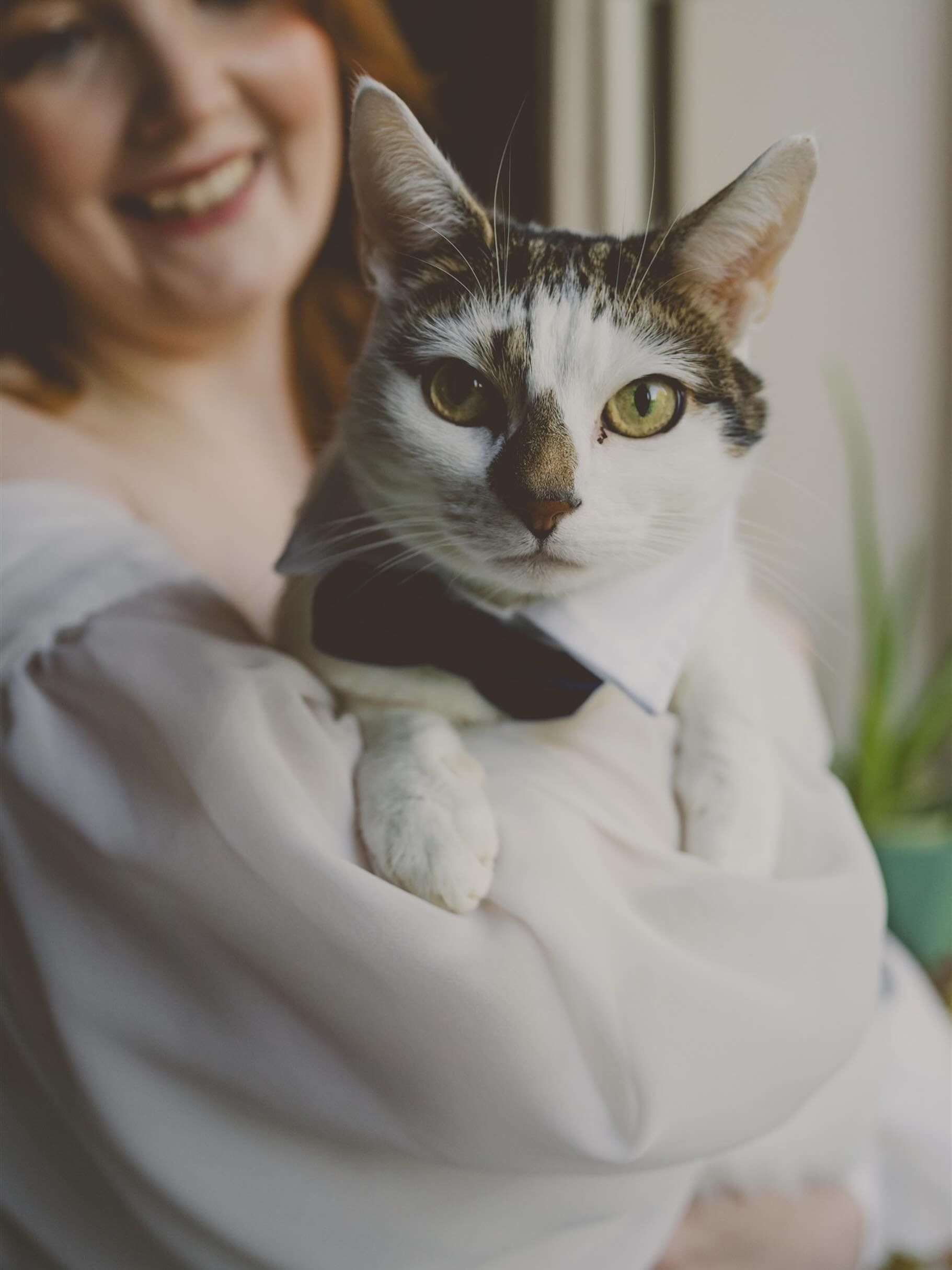 &lsquo;Can we go home to have a photoshoot with our cat?&rsquo; may be my favourite request ever!
The answer will always be yes!
#cats_of_instagram #catladylife #creativeweddingphotographer  #relaxedweddingphotographer
