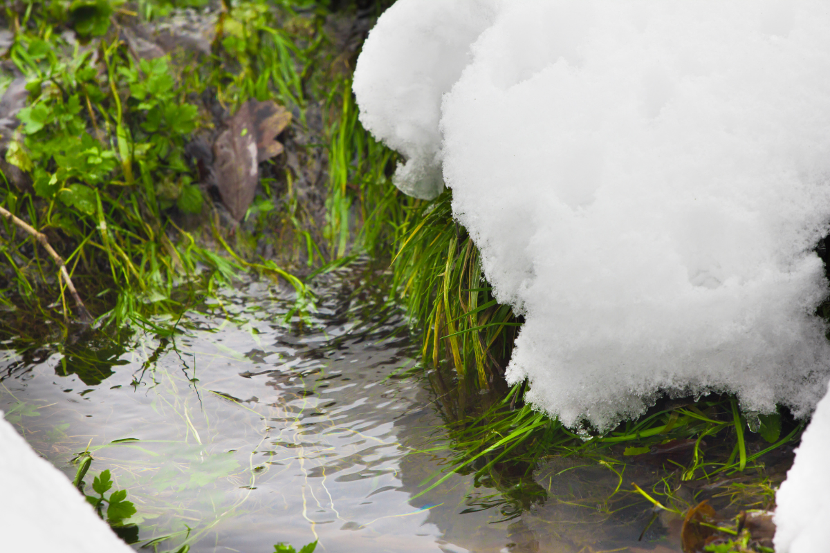 Schmelzender Schnee und fließendes Wasser im Frühling als Symbol für die Kapha-Zeit und in Bewegung kommende Stoffwechselprozesse bei Hund und Pferd