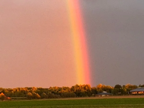 Regenbogen über Winterswick.jpg