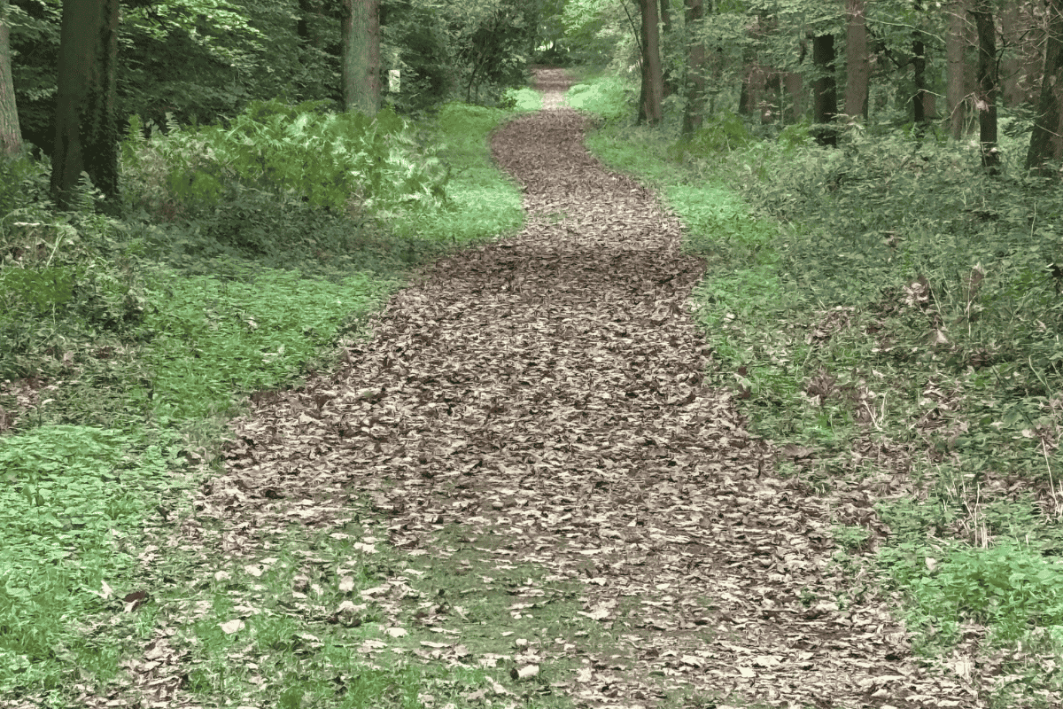 Mein Jahresrückblick 2025: Vom Schnellsein, Hinfallen und wieder Aufstehen