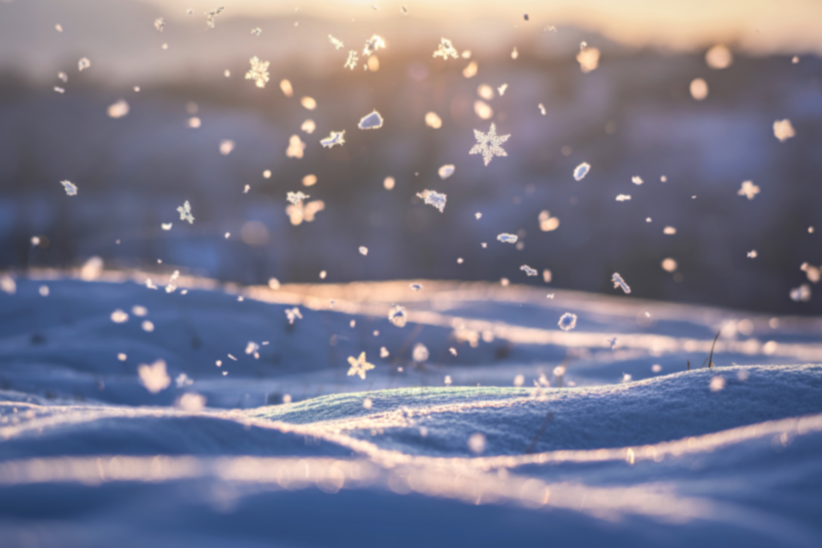 Mein Motto für 2026: Die Entdeckung der Langsamkeit