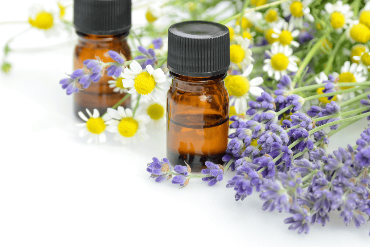 Ätherische Öle für Hunde &amp; Pferde -Aromatherapie trifft Ayurveda 