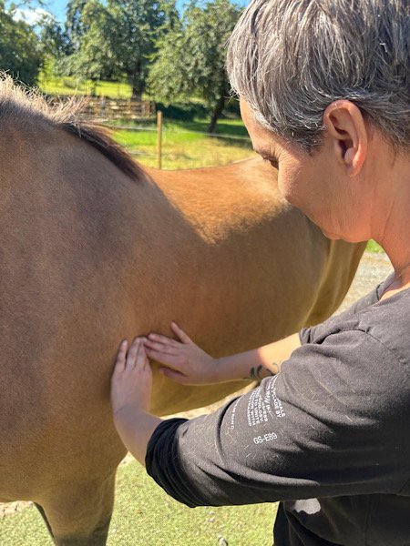 Ayurveda Massage bei Theresa 2025.jpg