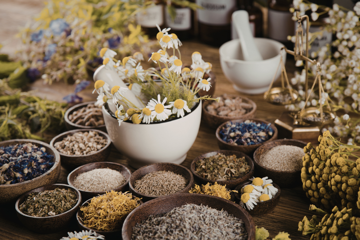 Eine reiche Auswahl an getrockneten ayurvedischen Heilkräutern (wie Lavendel, Kamille) in Schalen, mit Mörser und Waage auf Holzgrund.