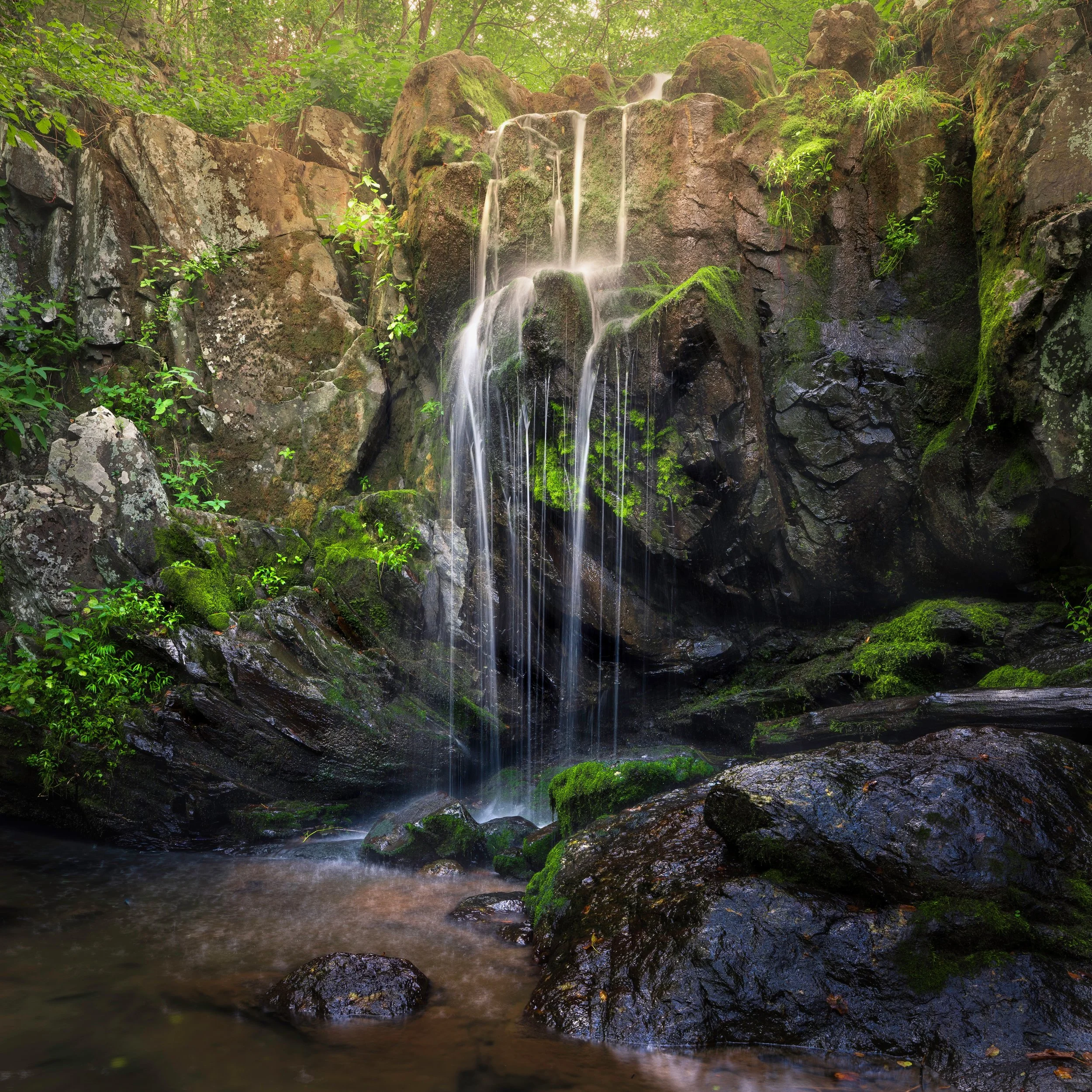 Small waterfall flowing over moss-covered rocks in a lush green forest.