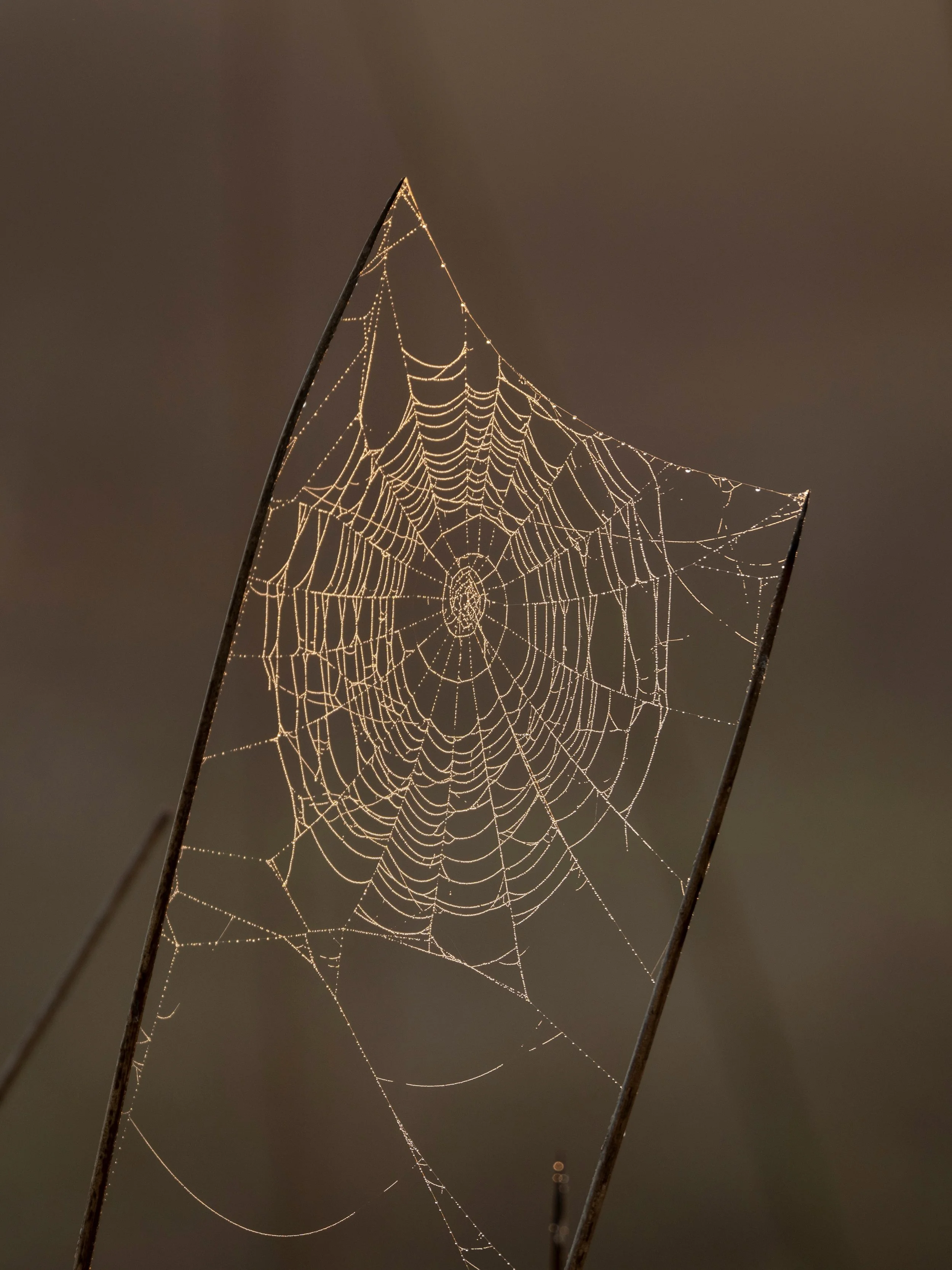_DSC7639.jpeg