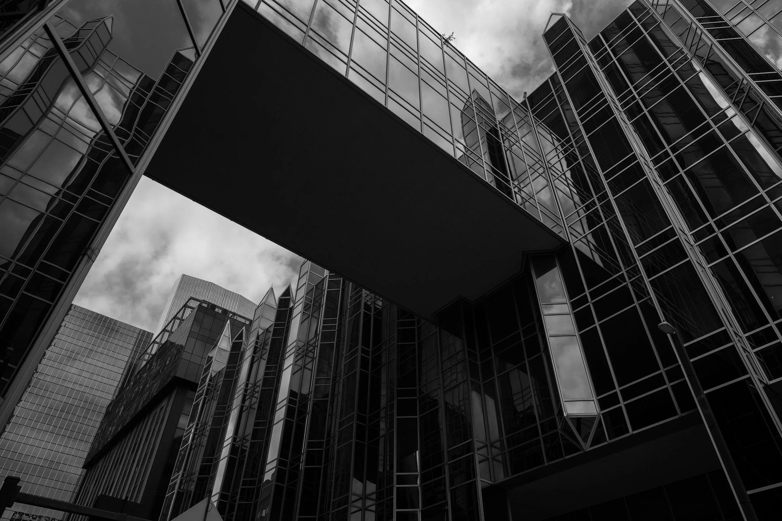 DSC_1876.jpg