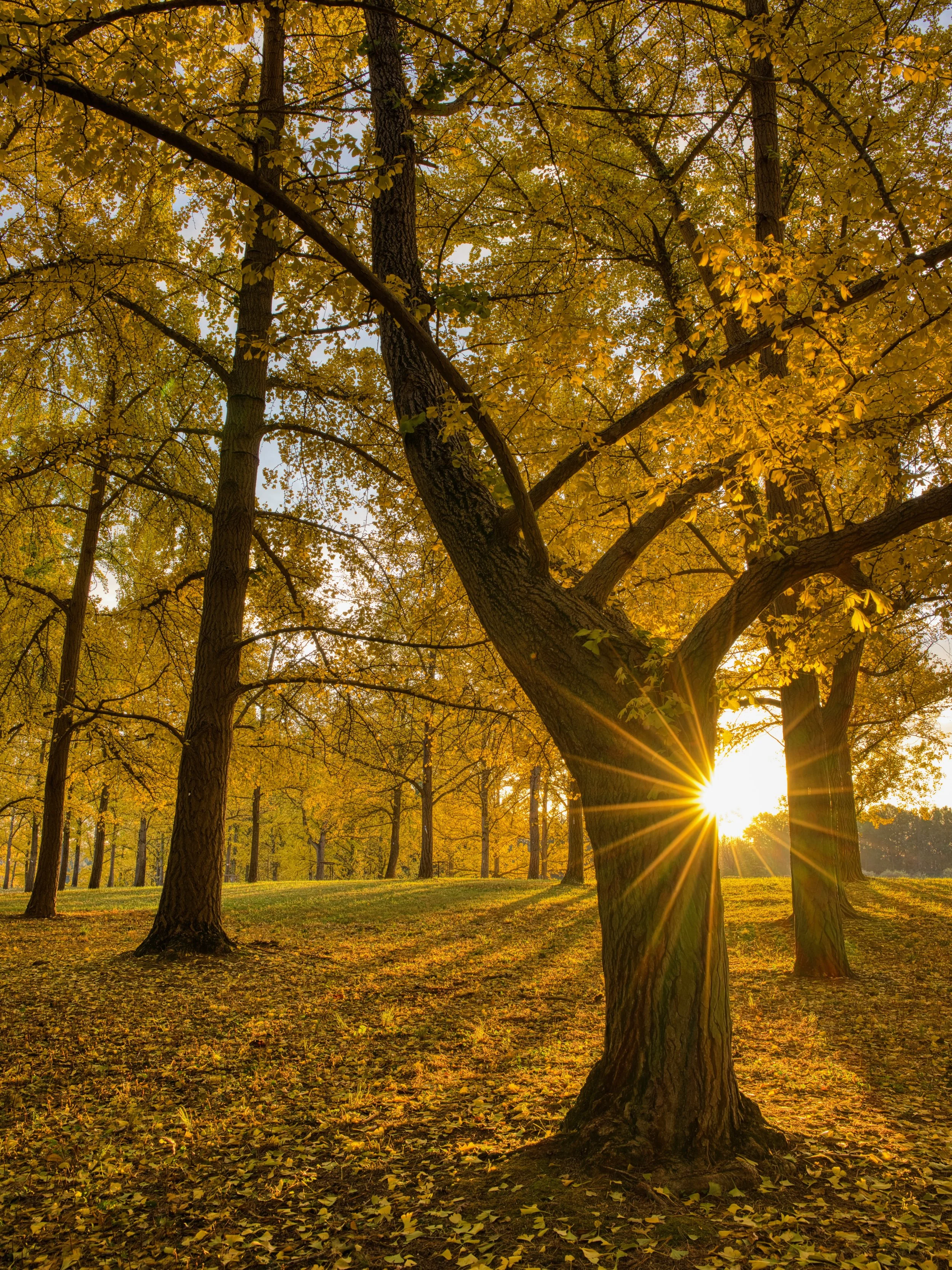 _DSC5796_HDR.jpeg