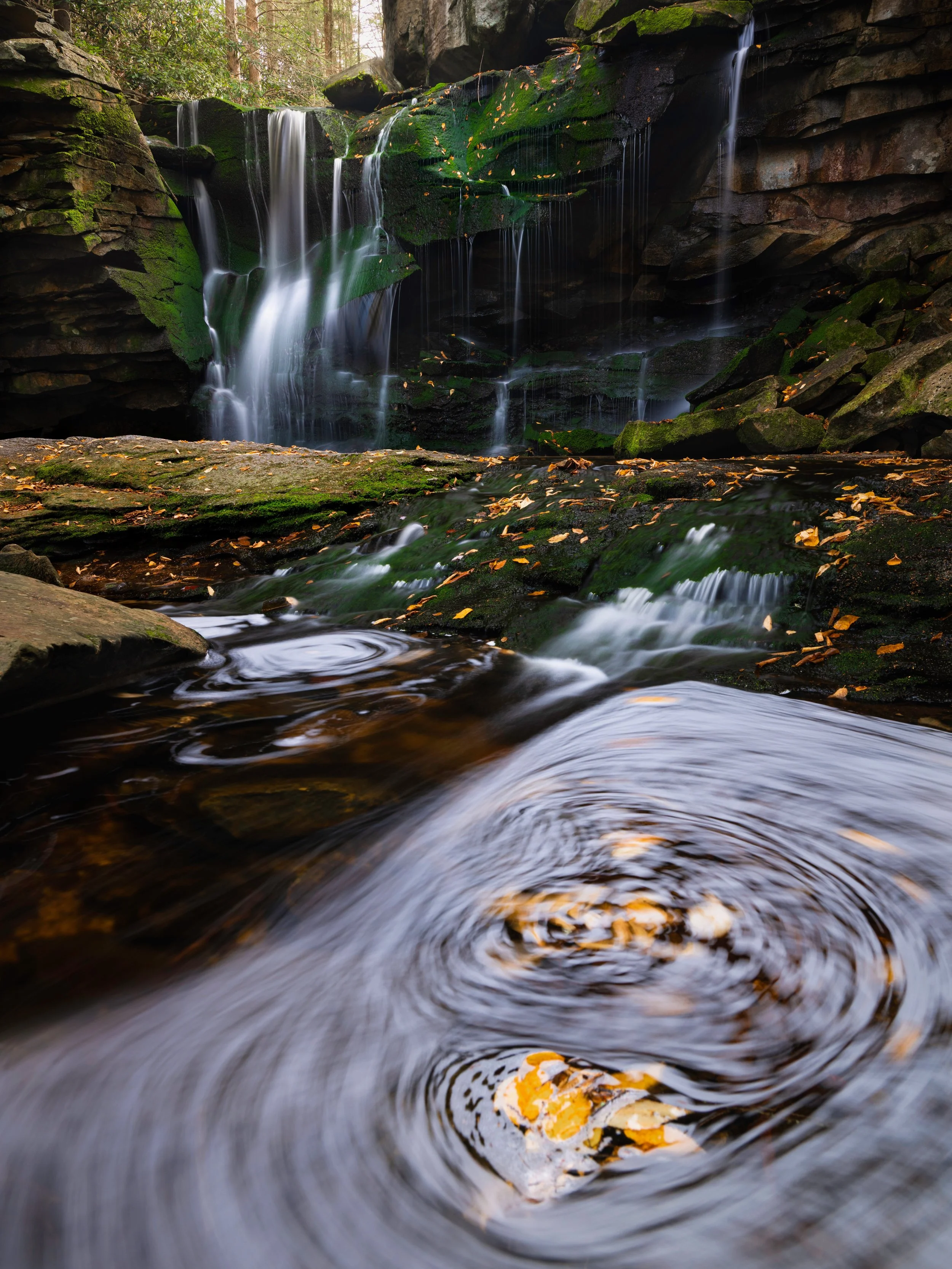 _DSC5405-Edit-2.jpeg