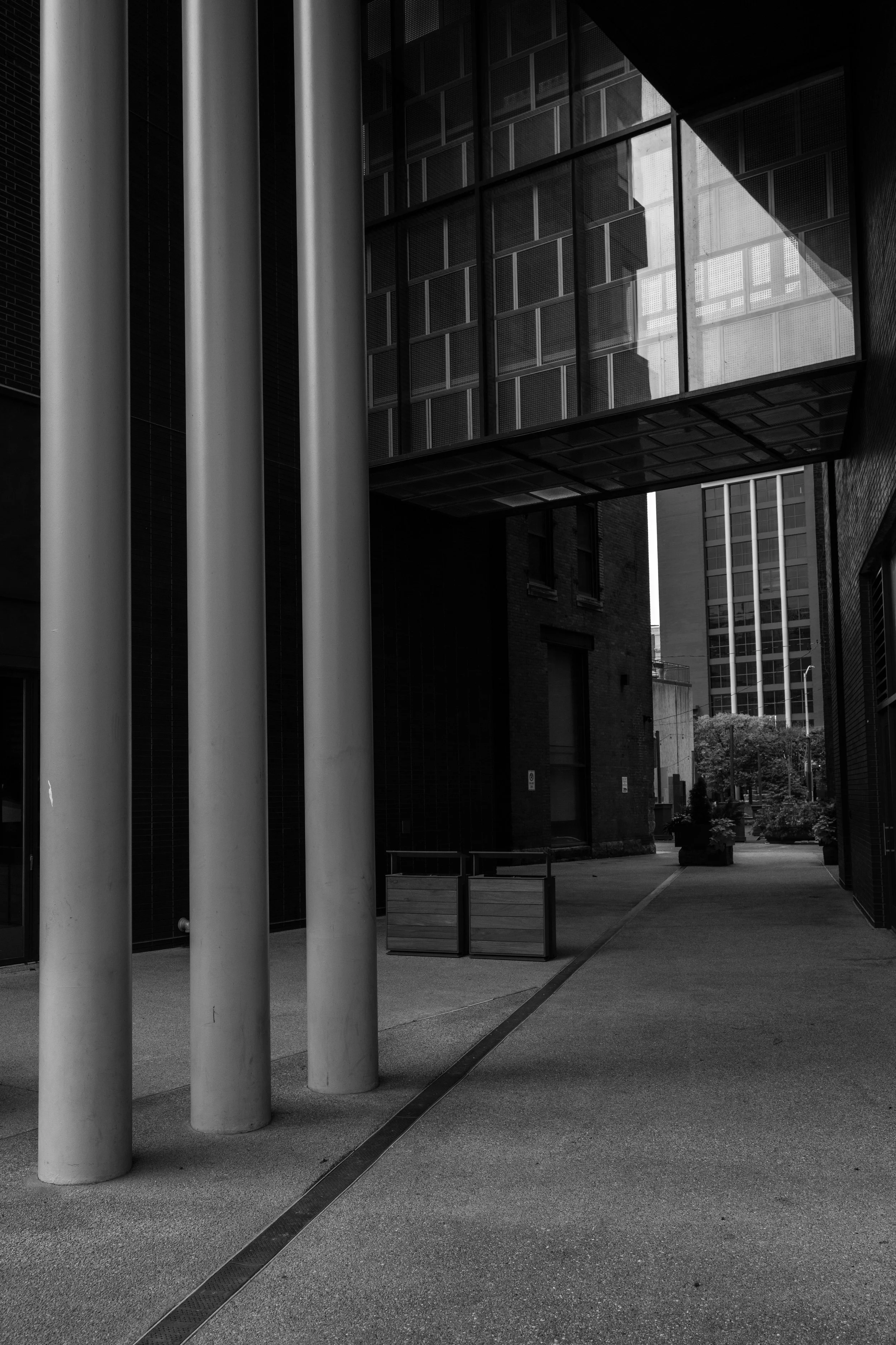 DSC_1809.jpg