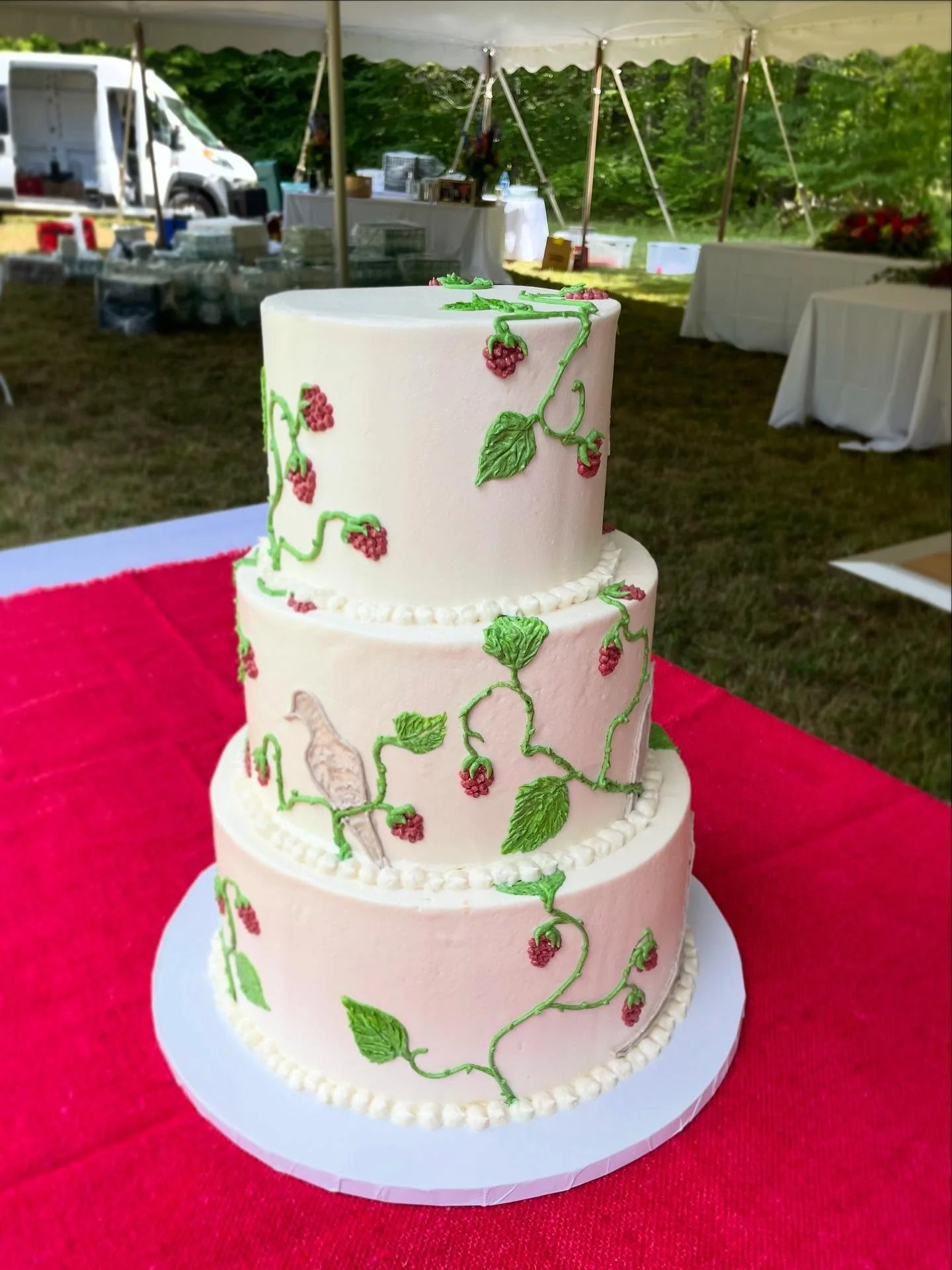 It might be snowing in VT, but take a moment to admire this gorgeous summer vegan lemon and raspberry wedding cake with piped raspberry vines and mourning doves!🕊️ 🍋 
.
.
.
#summerweddings #weddingcake #weddingcakes #vegancakes #veganweddingcake #v