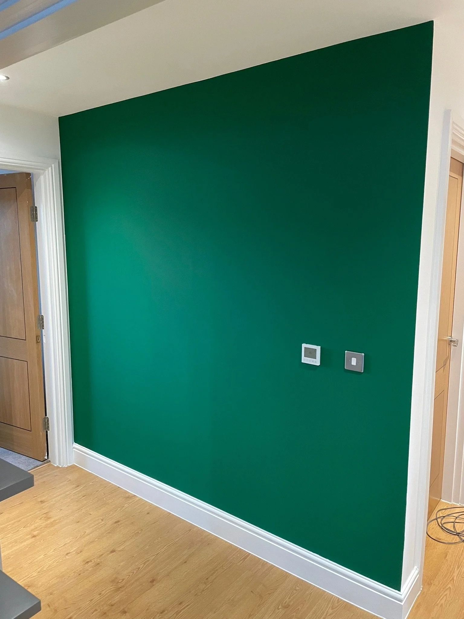 Interior view of a room with a dark green accent wall, white baseboards, a wooden door to the left, and two wall-mounted control panels.
