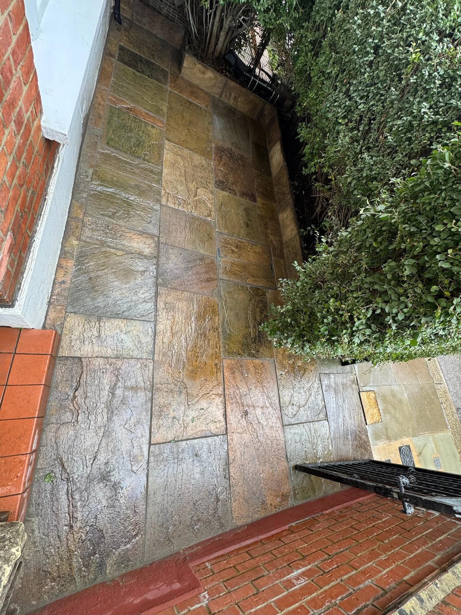 Wet stone patio with multicolored rectangular tiles, bordered by brick wall on the left and lush green shrubbery on the right. A small section of a black gate is visible at the bottom.