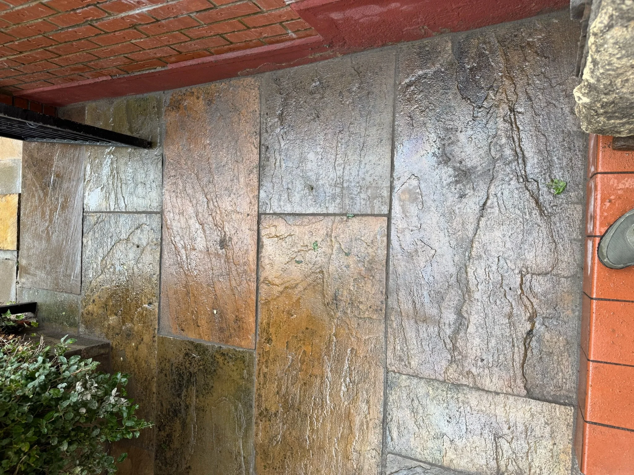 Wet stone patio with various colored stones, a small green plant, and a person's foot in a sneaker on the right edge.