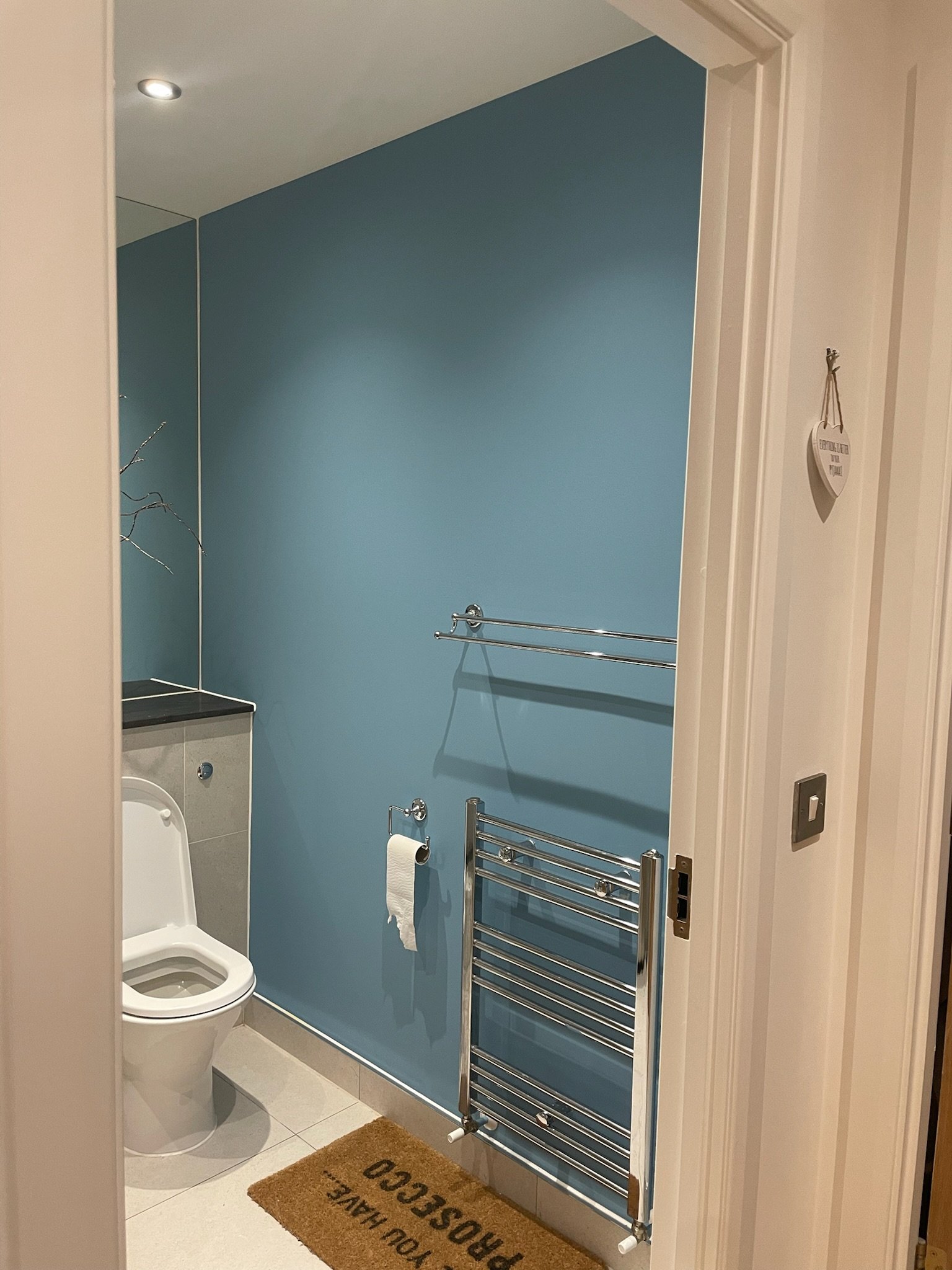 View of a modern bathroom with a blue wall, a white toilet, a metallic towel rack, a toilet paper holder with a roll of toilet paper, a small black counter, a mirror, and a beige mat with black text reading "YOU HAVE PROSECCO".