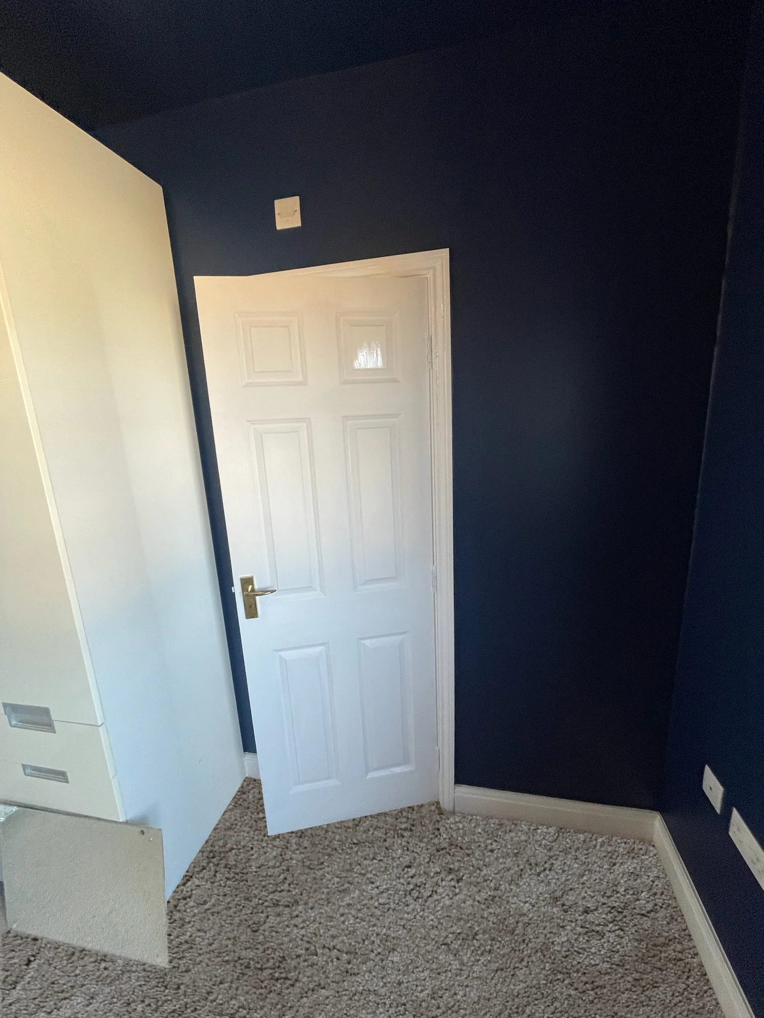 A room with navy blue walls and beige carpet, a white door slightly ajar, and a white cabinet on the left side of the image.