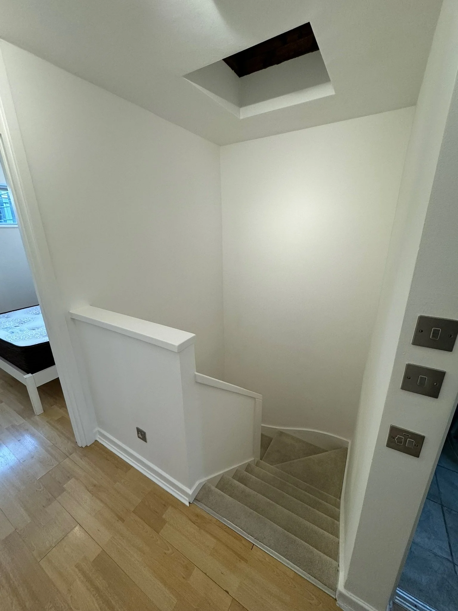 Empty staircase with beige carpet leading down, white walls, light wood flooring, and a skylight in the ceiling.