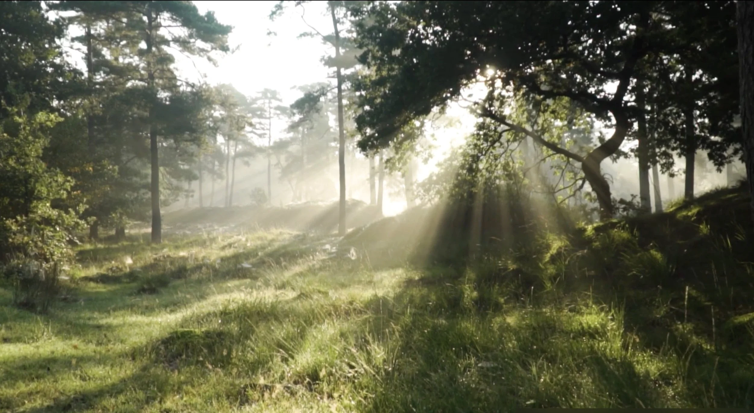 Bild 2025-12-24 kl. 18.07.JPG