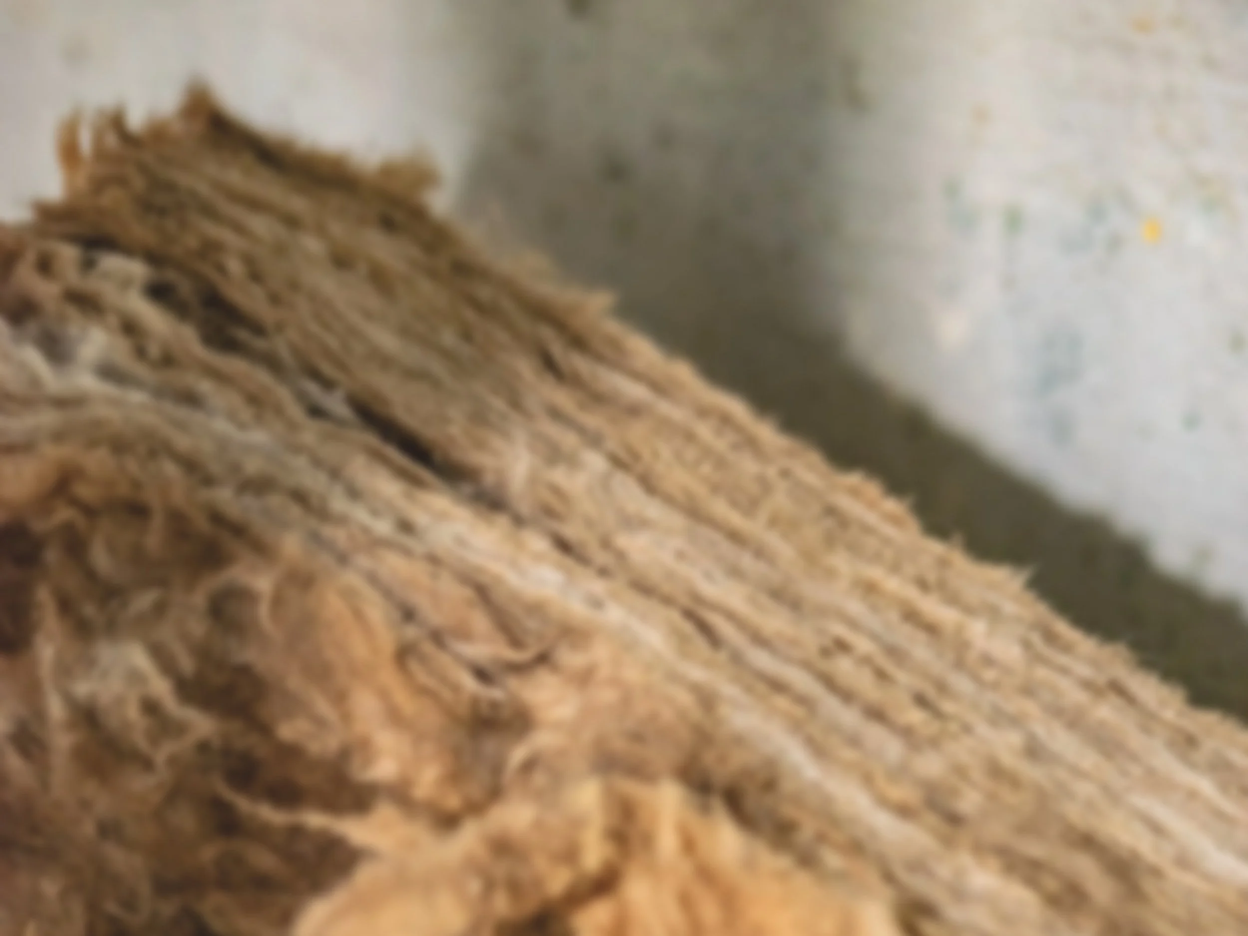 renovation_architecte_interieur_rouen_suividechantier_studiolrx