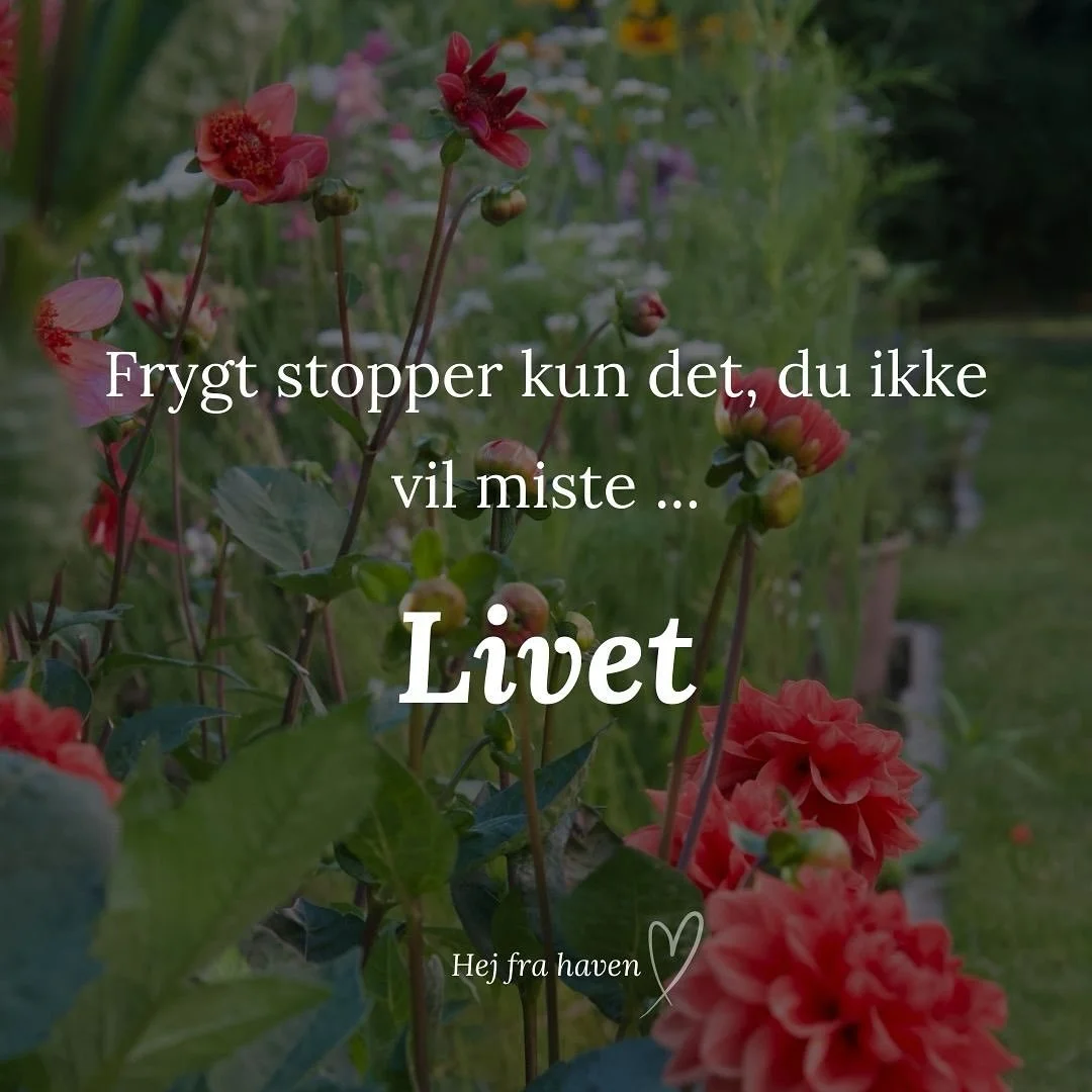 Frygt stopper ikke d&oslash;den, katastrofen eller krisen. 

Vi kan ikke bekymre os til fred. Eller t&aelig;nke os til det samme. 

Det eneste vi kan er at kontrollere os selv, n&aring;r frygten rammer -  og arbejde videre med det, vi er s&aring; ban