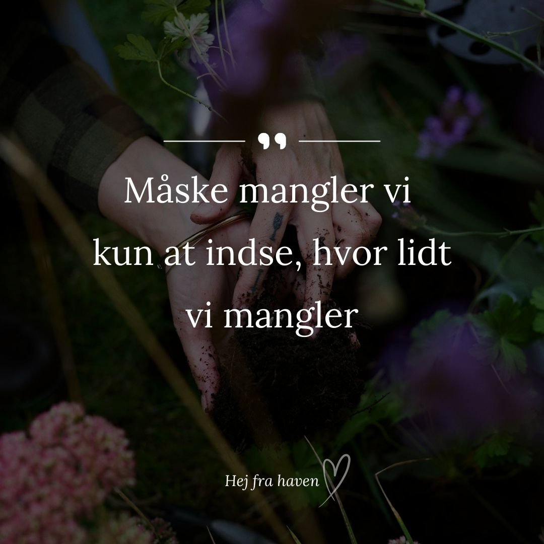 ... Alle m&aring; k&oslash;be alt det, de vil, n&aring;r de vil og hvor tit de vil. 

Men jeg er stor fortaler for at g&oslash;re ting bevidst. 

Og m&aring;ske kunne vi alle s&aelig;tte det her lille ordsprog foran vores klik og k&oslash;b? 

... sa