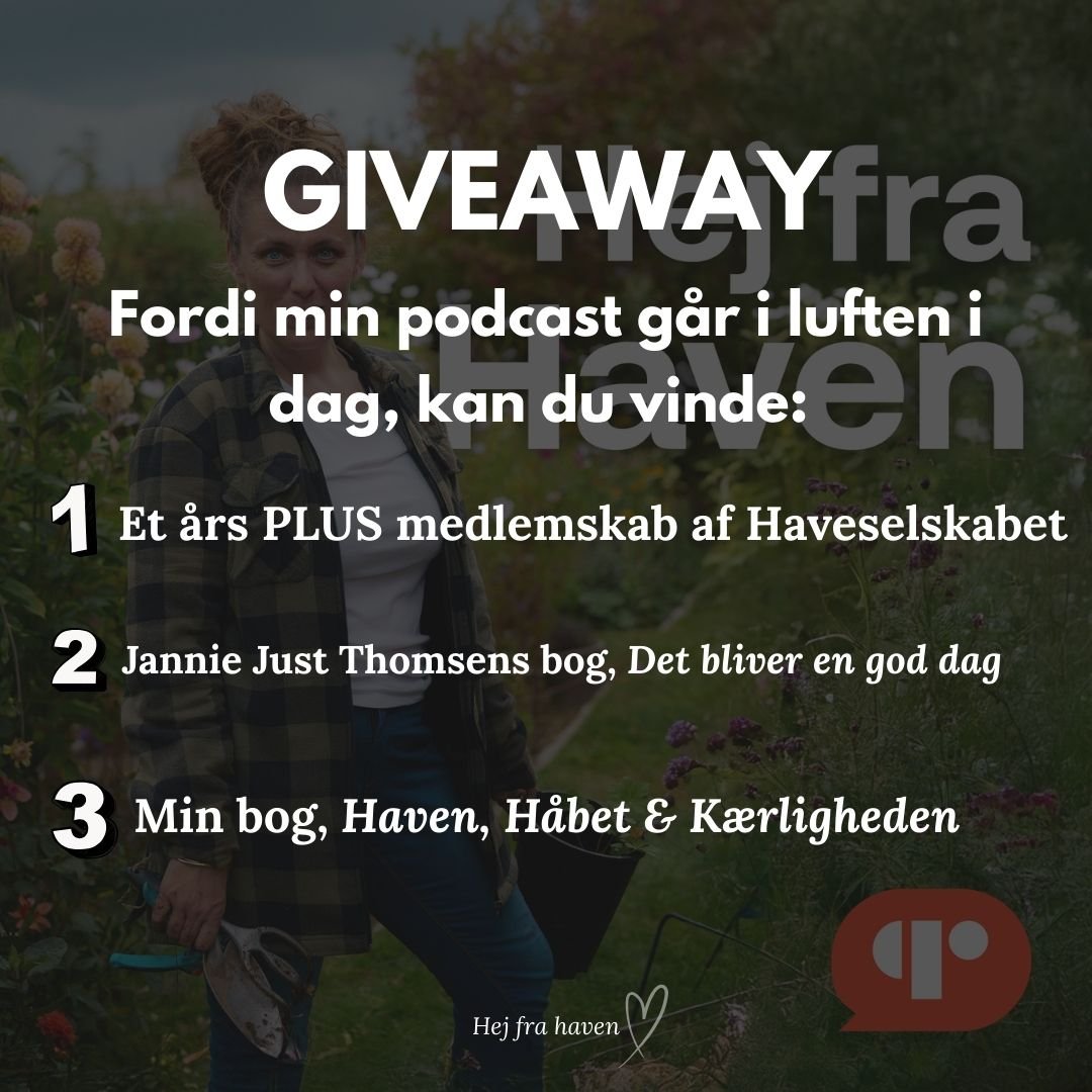(Reklame for egen bog og podcast)🎉 Nu kan du lytte til min podcast, Hej fra Haven 🎉
✨Og derfor kan du vinde en hel bunke fede, fede pr&aelig;mier ✨

📣 For ENDELIG kan jeg afsl&oslash;re, at det er @haveselskabet , der er samarbejdspartner p&aring;