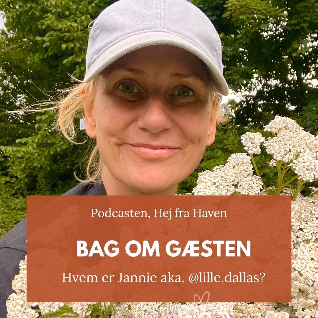 🌱 Bag om afsnit 1 af Hej fra Haven
💚 Bag om g&aelig;sten @lille.dallas

(Reklame for egen podcast)

Jannie, som du m&aring;ske kender som Lille Dallas her p&aring; IG, er for mig et af den slags bekendtskaber, jeg gerne tager fri fra arbejde for at