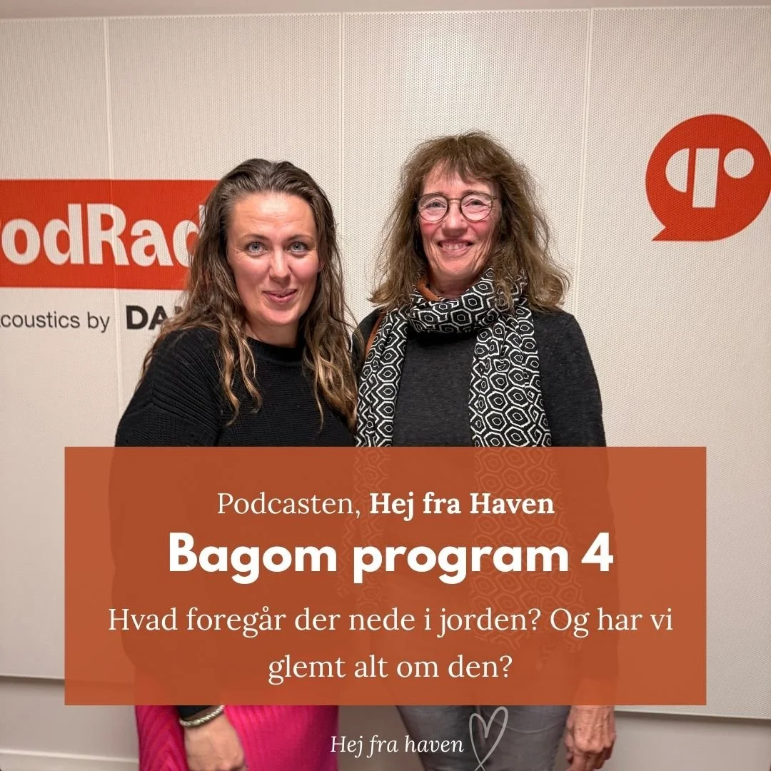 🎧 Hvad foreg&aring;r der nede i jorden? Og har vi glemt alt om den? (Annonce og reklame for egen podcast p&aring; @podradio.dk )

S&Aring; er der flere lyttevitaminer til dine &oslash;rer, og endnu mere til din have 🌱

Afsnit 4 er nemlig ude nu, og