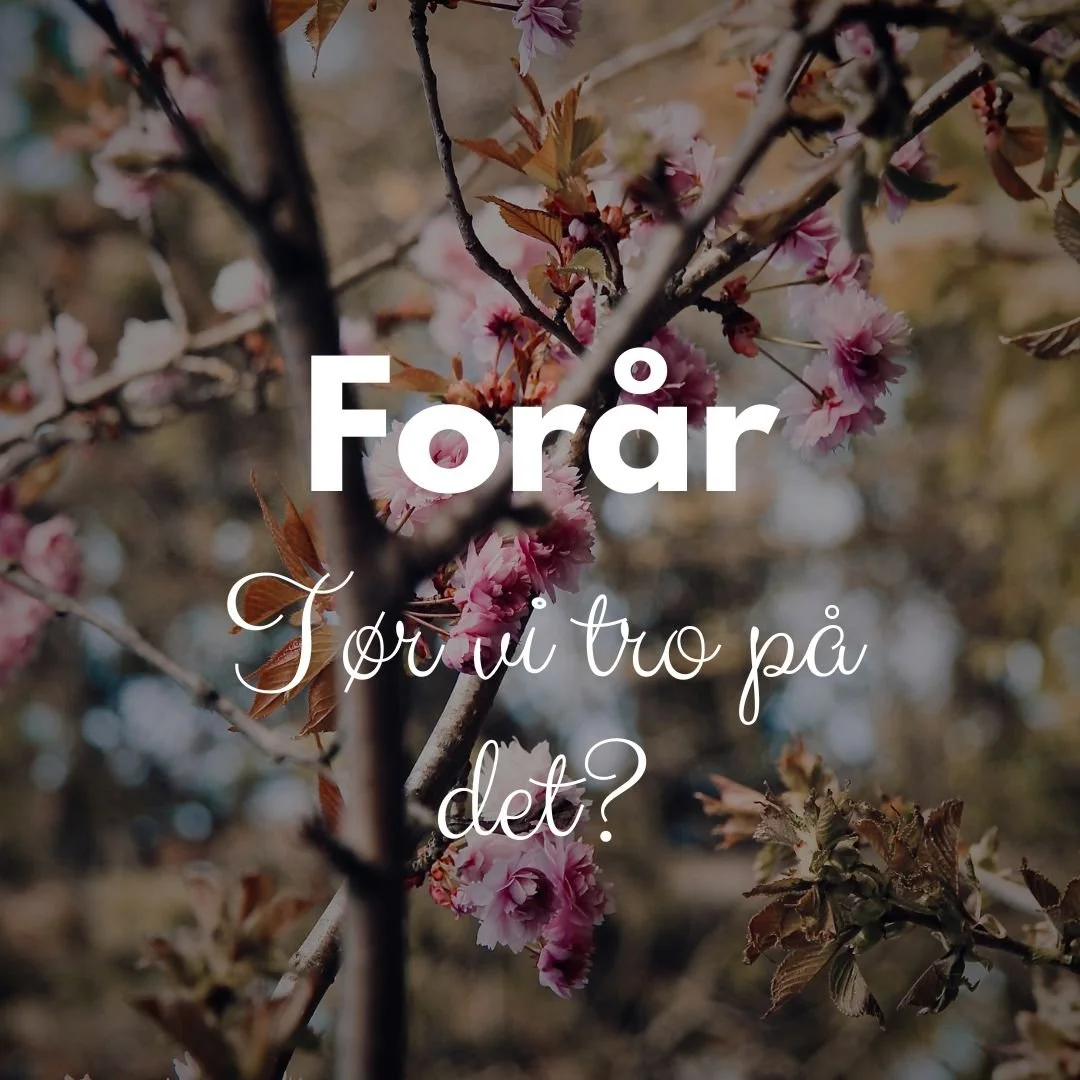 Velkommen, for&aring;r 💚
Vi er flere, der har gl&aelig;det os til at vende det her kalenderblad. 

Men vi er ogs&aring; nogle stykker, der allerede nu savner den ro, det lys og den stilhed som frost og sne har med sig ❄

Jeg krydser for, at vi flere