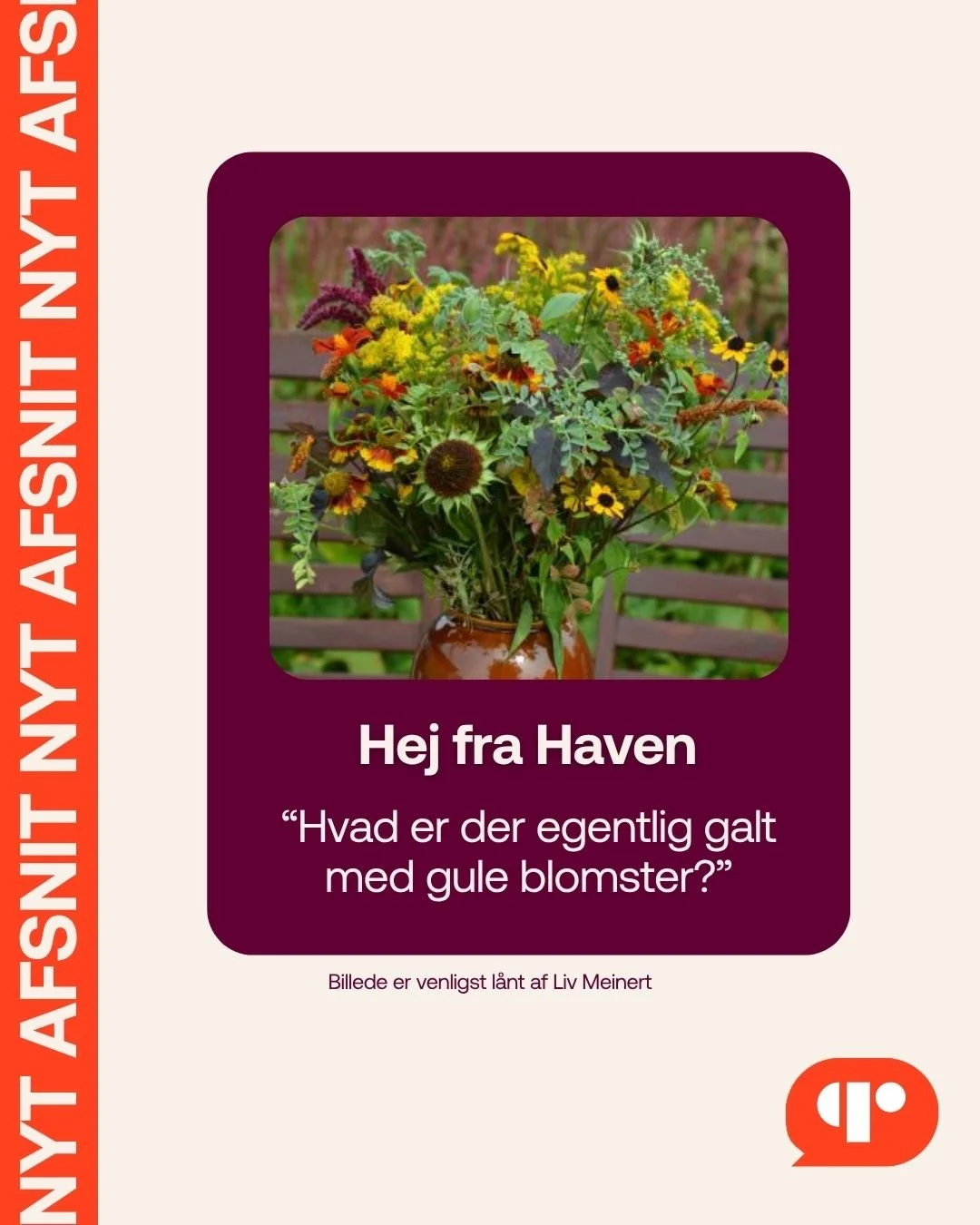 🎧 Sponsoreret af @jimahegn og @haveselskabet og @@guganlaegogplanteskole | S&AElig;SONAFSLUTNING 🎧 

🌼 Nogle gange f&oslash;ler jeg mig helt alene, n&aring;r jeg stolt siger: "Jeg elsker gule blomster". Og det er mere end en f&oslash;lel
