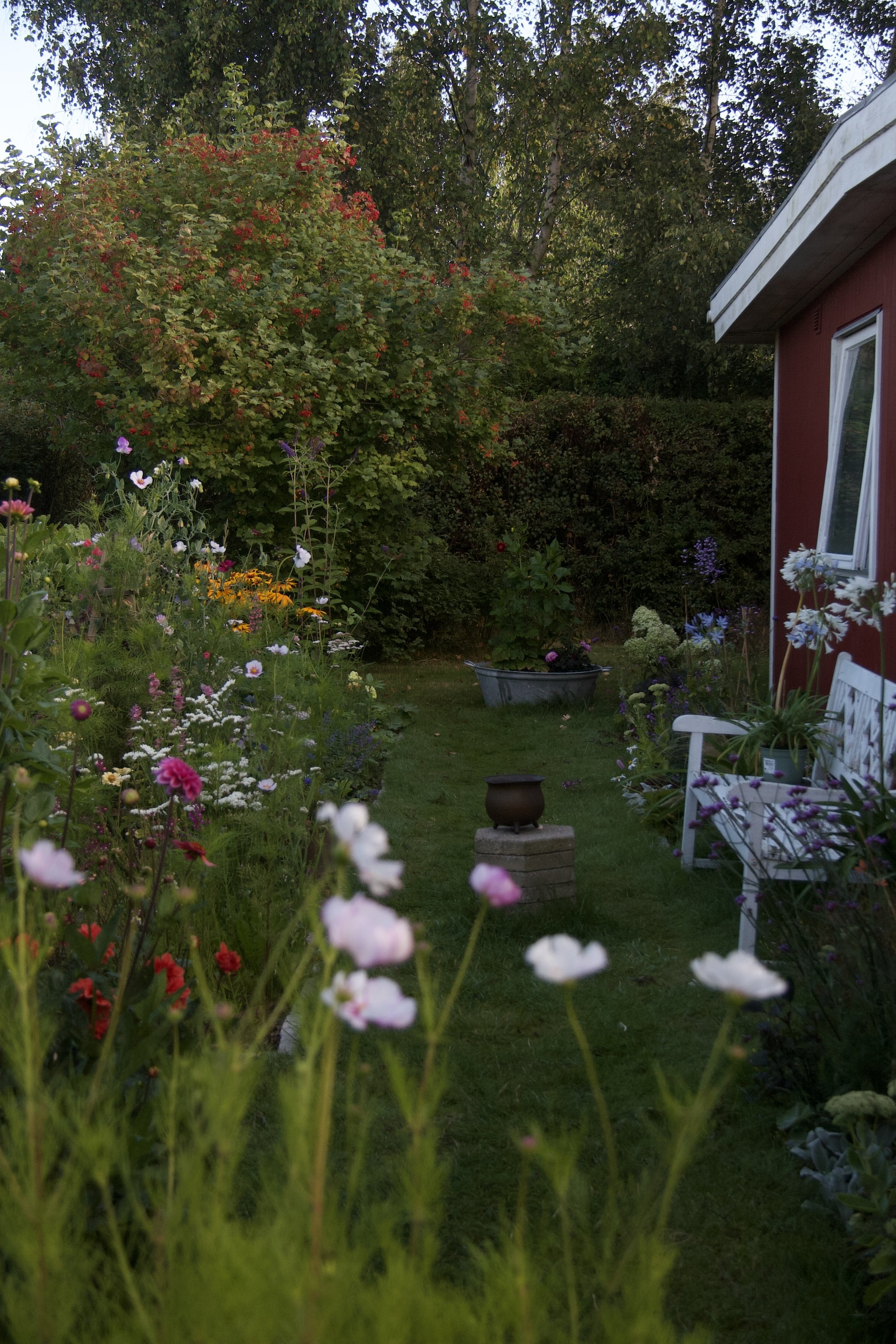 Blomsterhave med farverige blomster, grønne buske og et rødmalet hus i baggrunden.