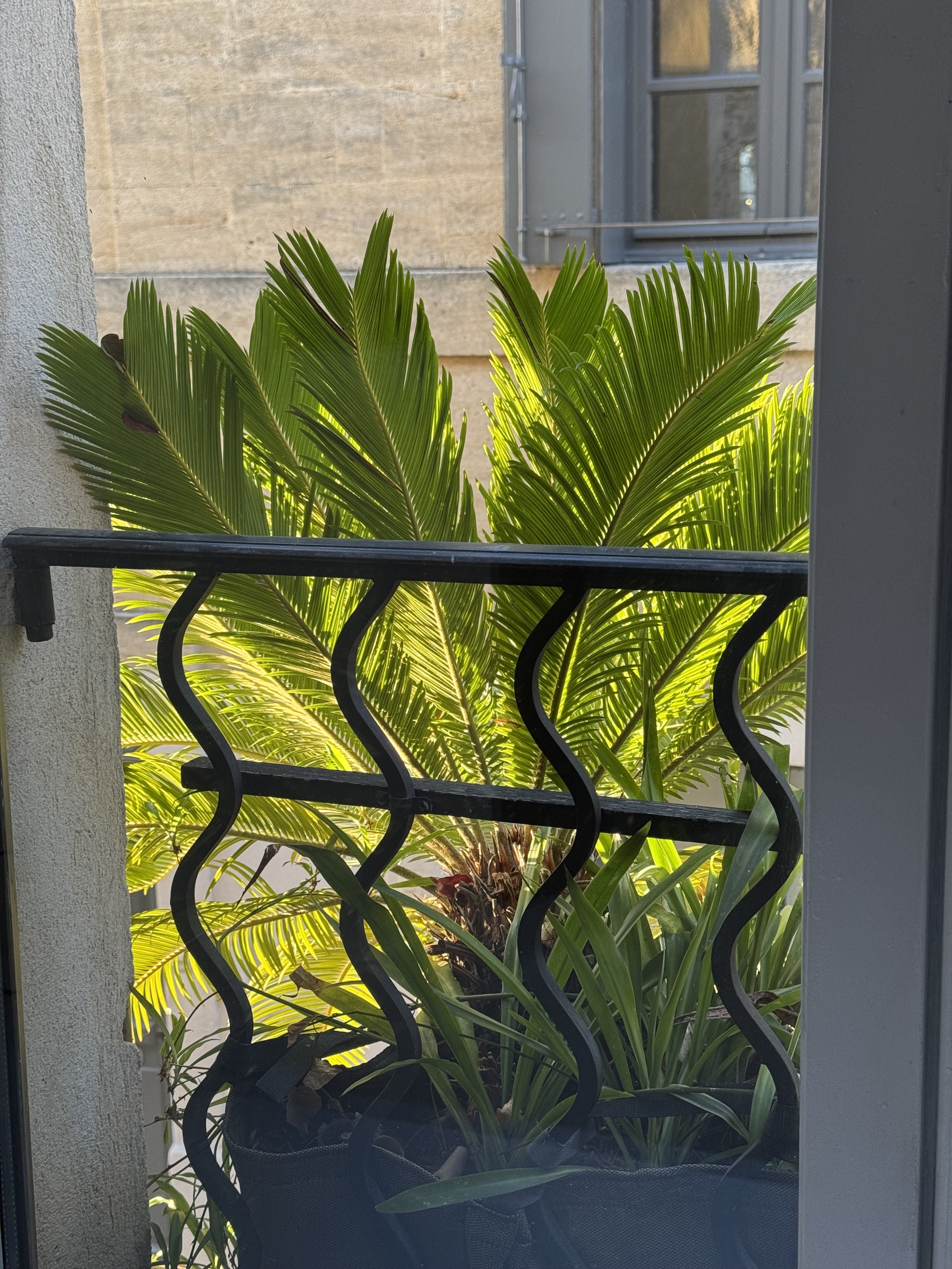 facade detail.jpeg