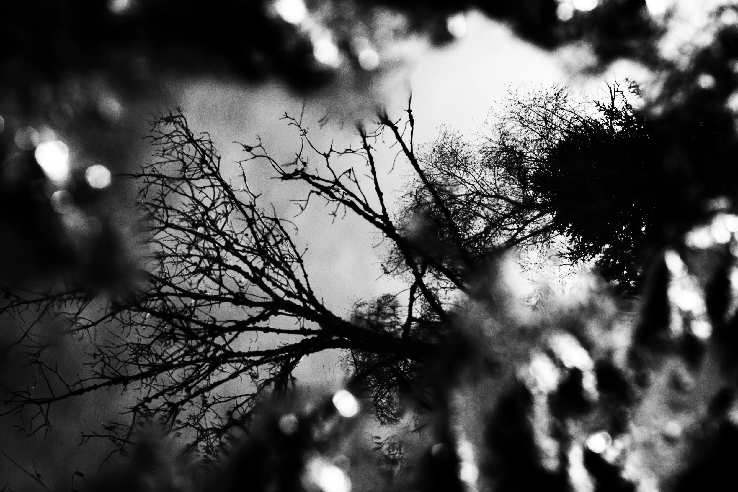 Tout finit par revenir