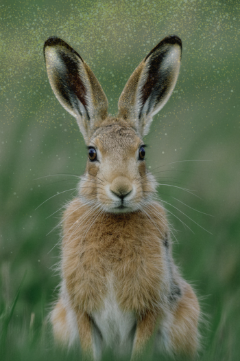 The Energy Shift From Winter to Spring That Most Witches Ignore