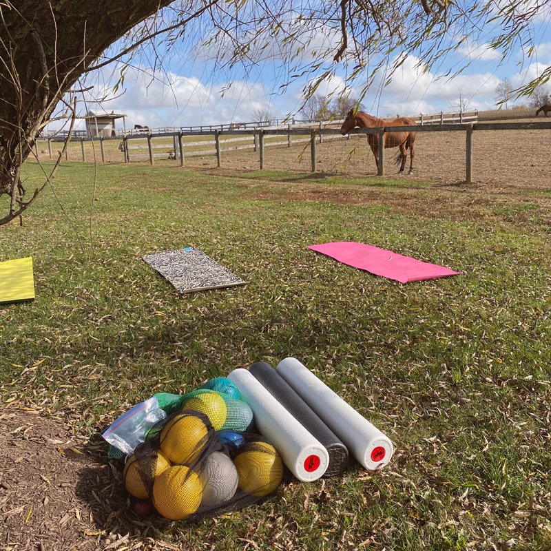 equestrian-pilates-frederick-maryland-new-light-pilates.jpg