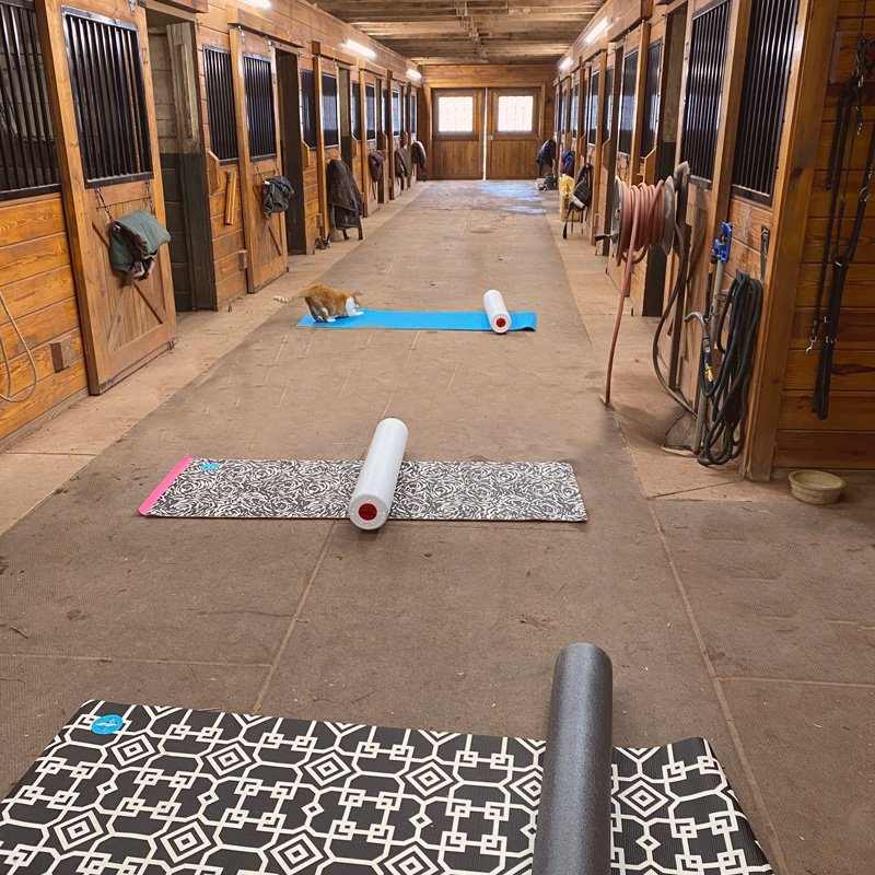Best Equestrian Pilates® New Light Pilates & Movement