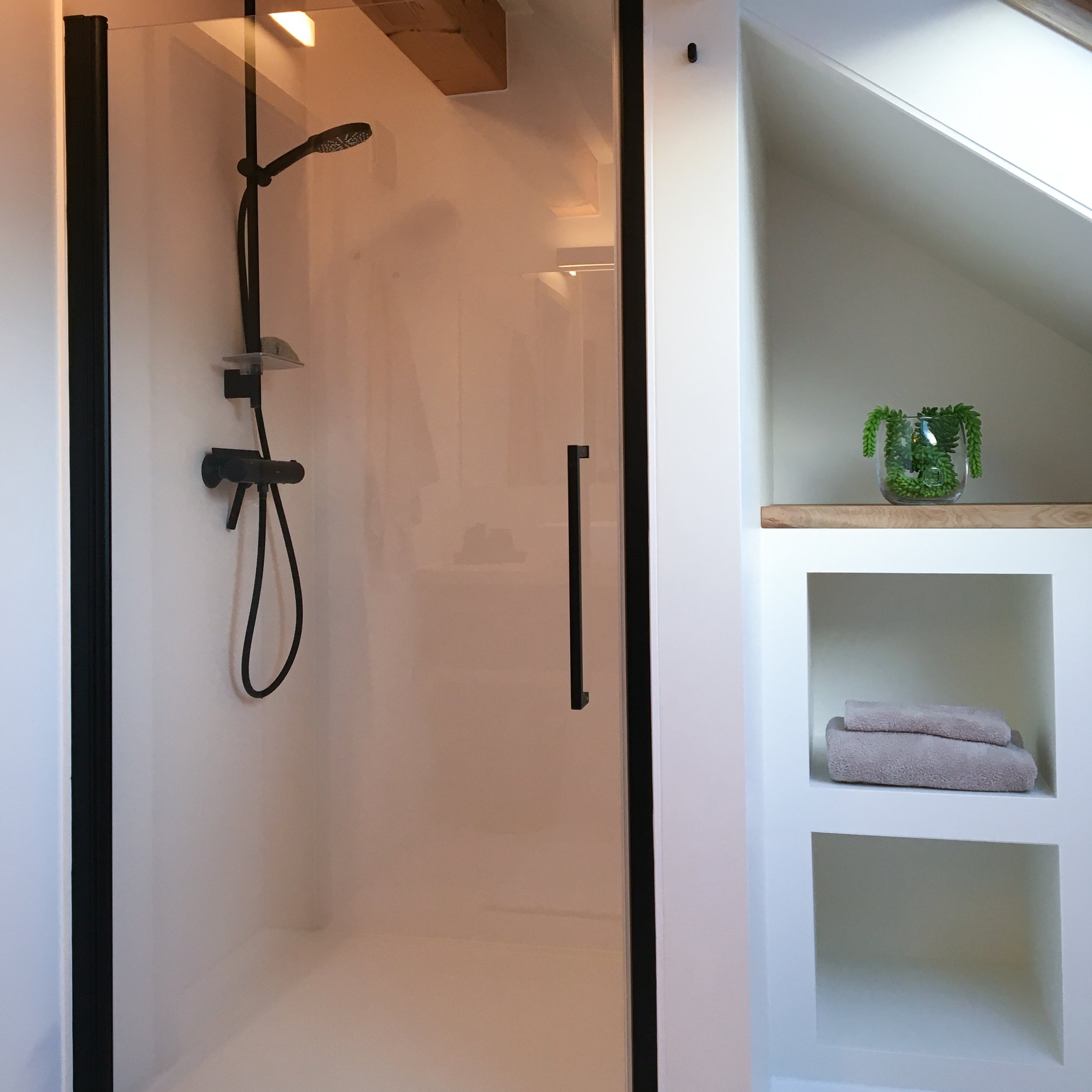Moderne douche met glazen deur en zwarte omlijsting en zwarte handdouche, ingebouwde planken met handdoeken en plant in badkamer.