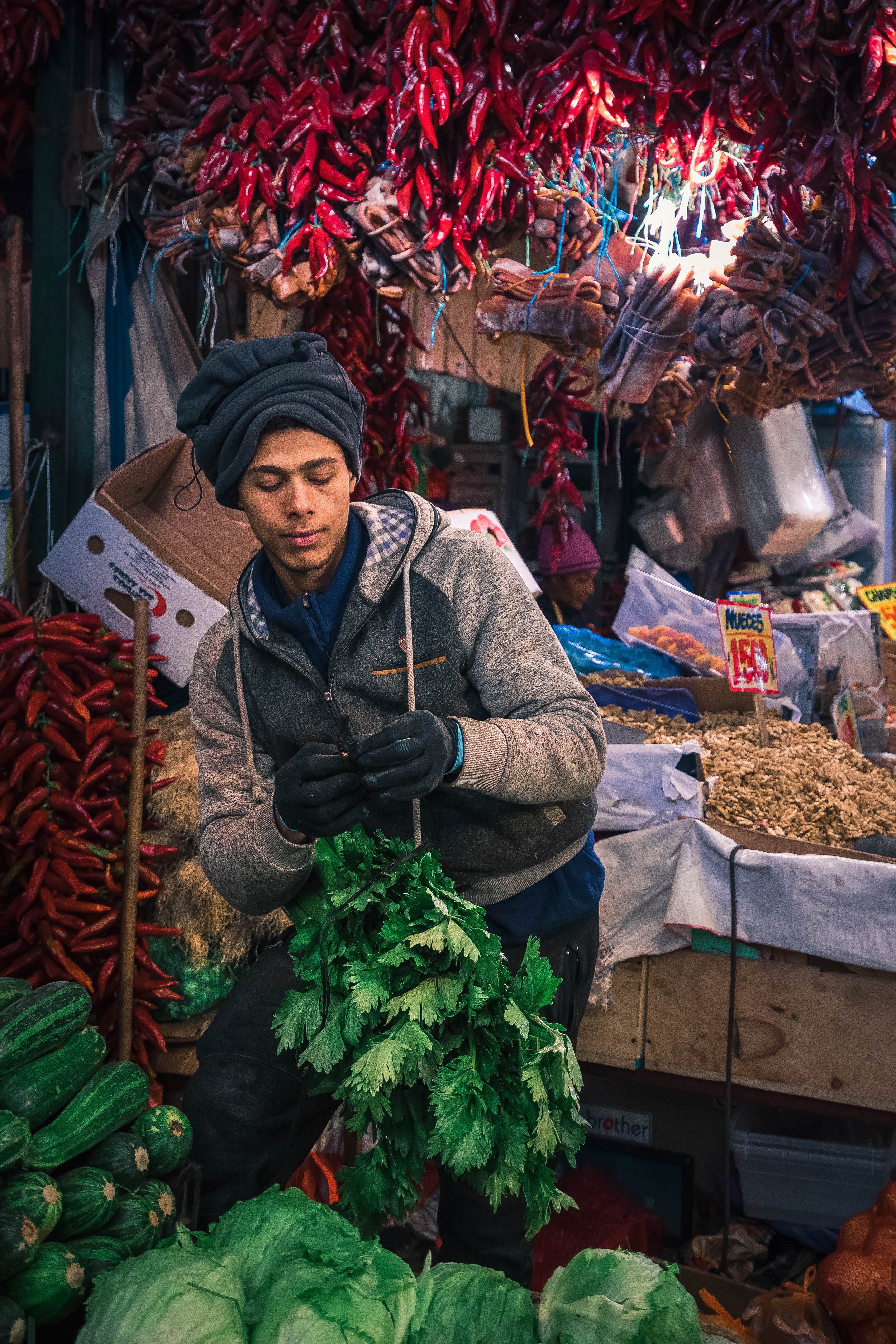 Mercado La Vega - Santiago de Chile