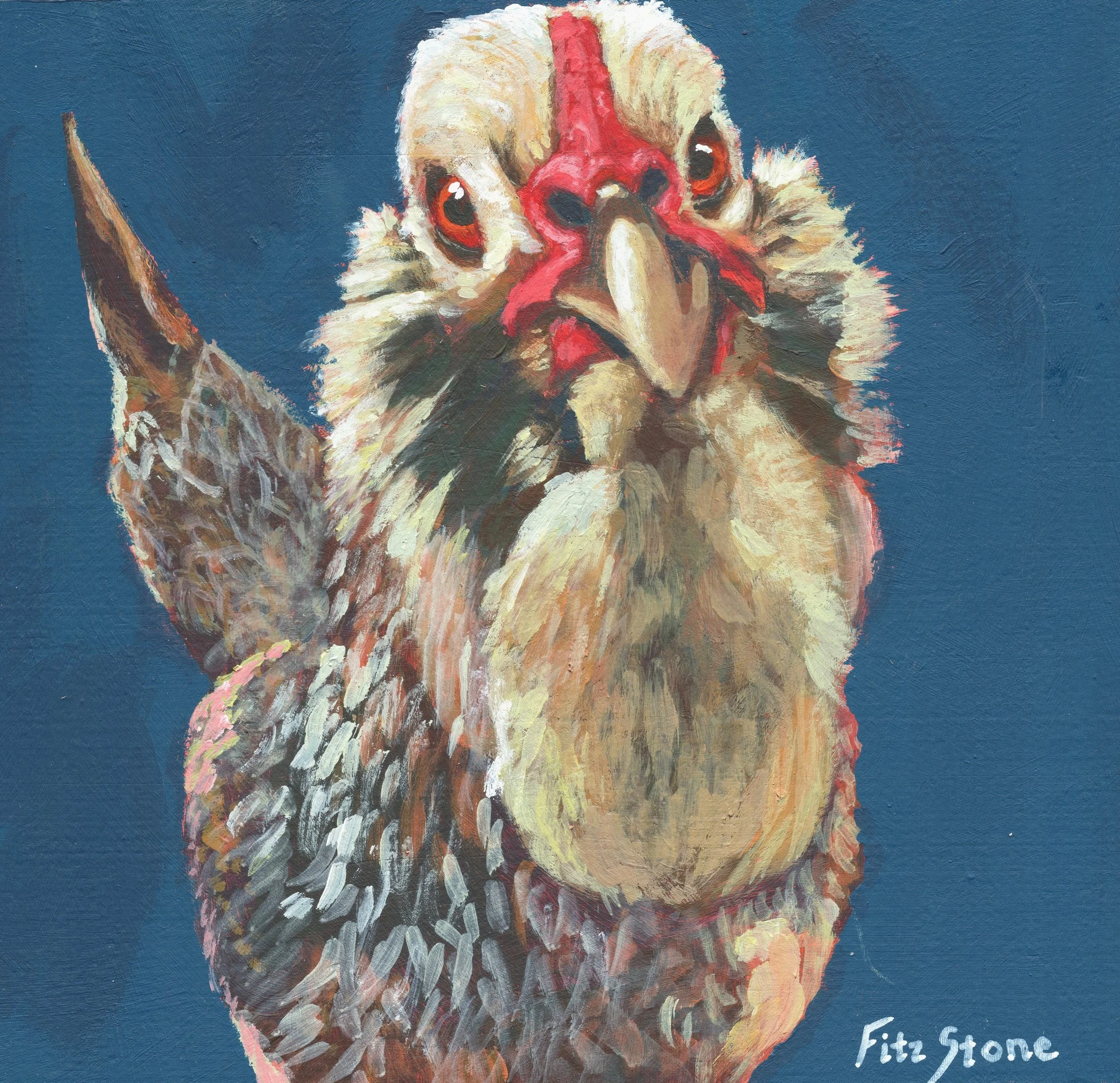 Falcon the Chicken