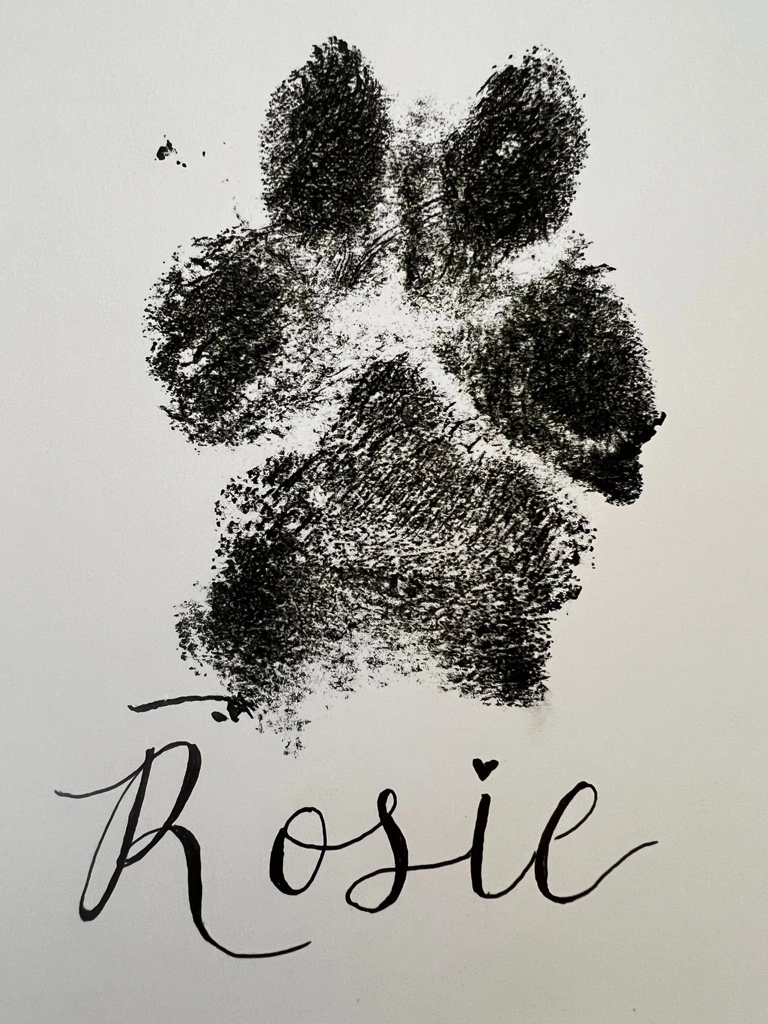 RIP Rosie. 💔💔💔