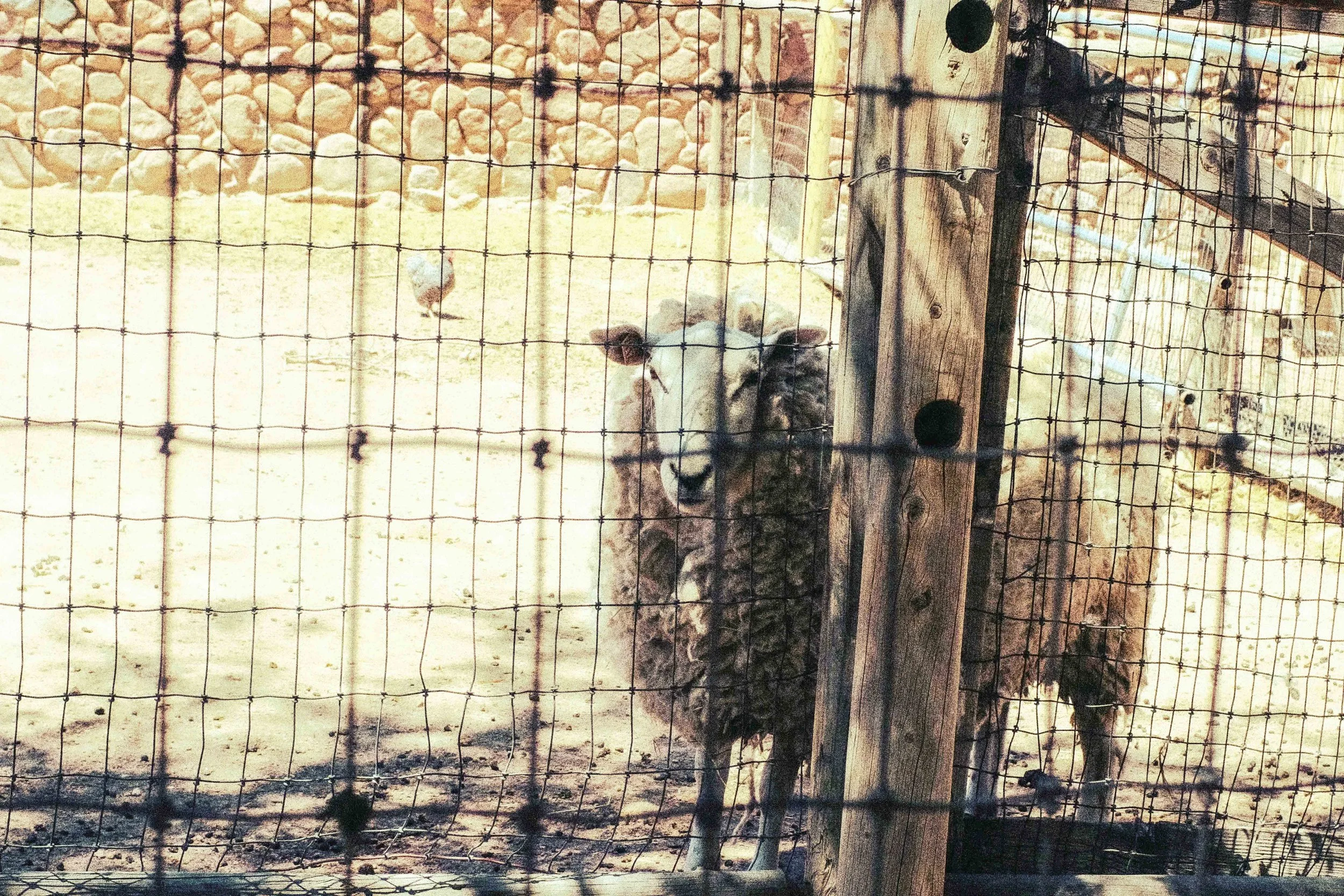 Colorado 2024 — Garden of Gods