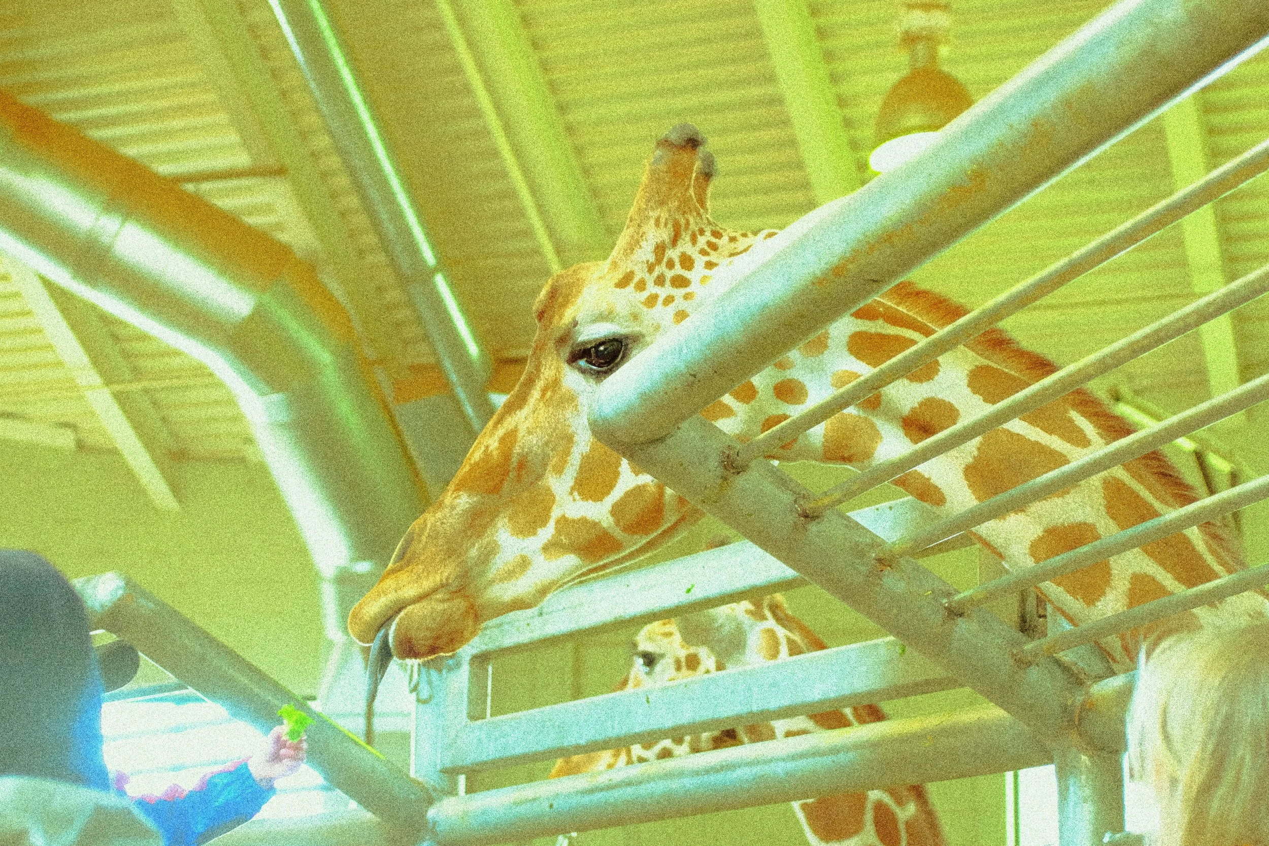 Colorado 2024 — Cheyenne Zoo