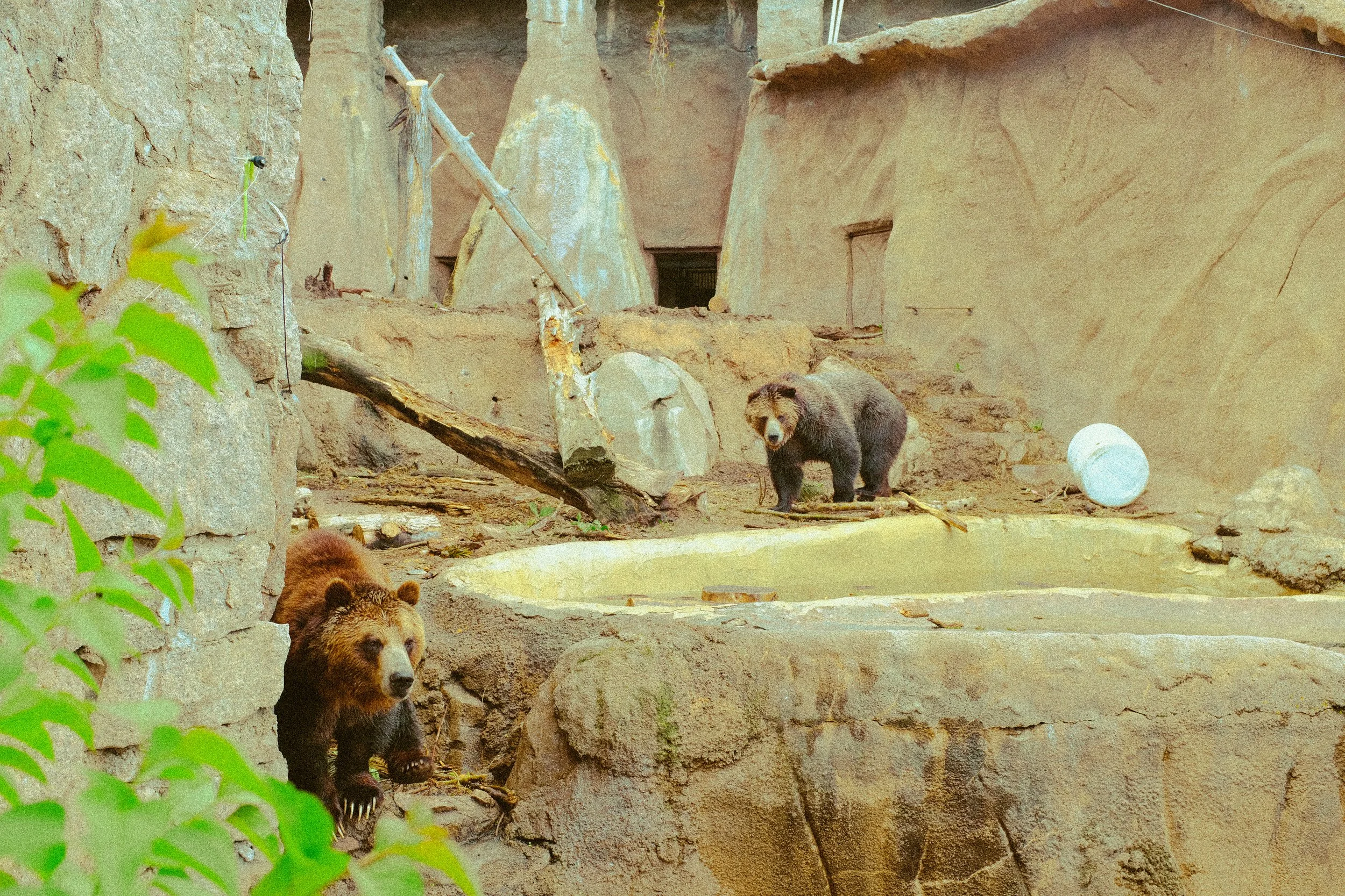 Colorado 2024 — Cheyenne Zoo