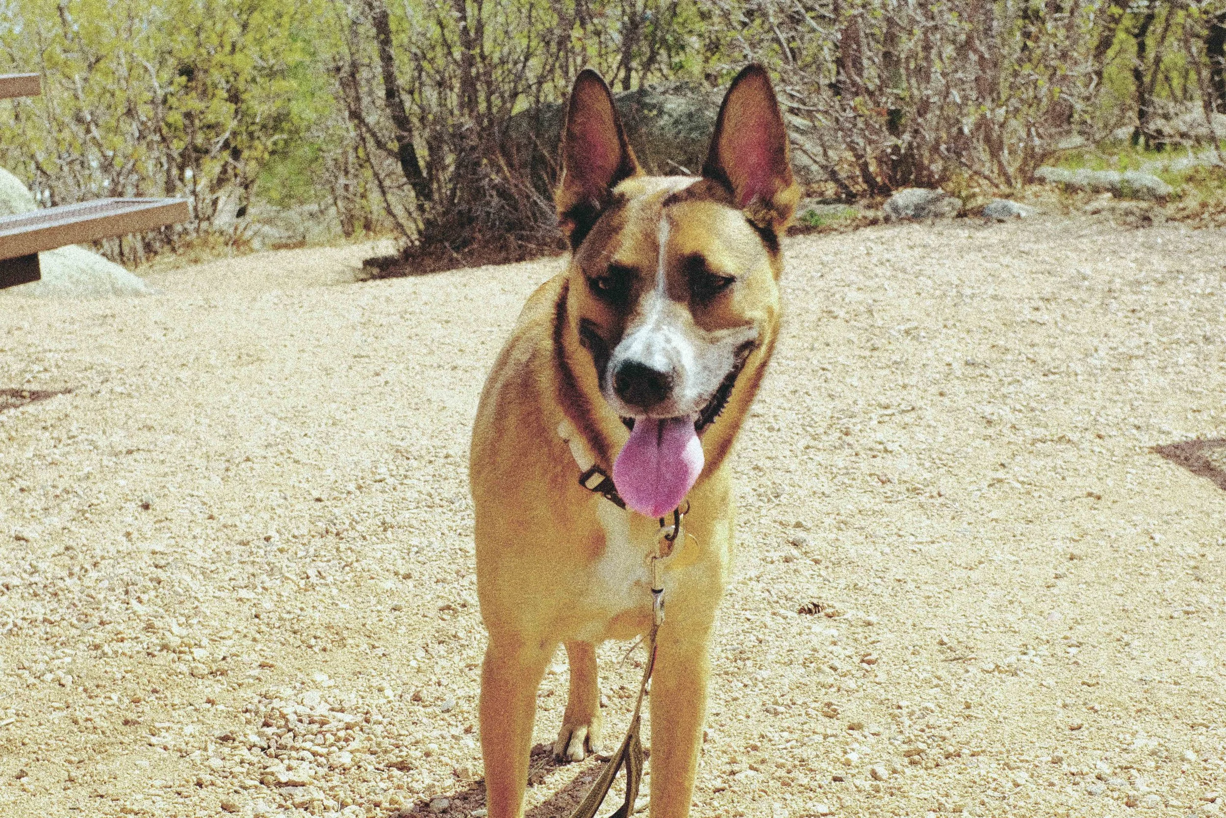 Colorado 2024 — Cheyenne Mountain