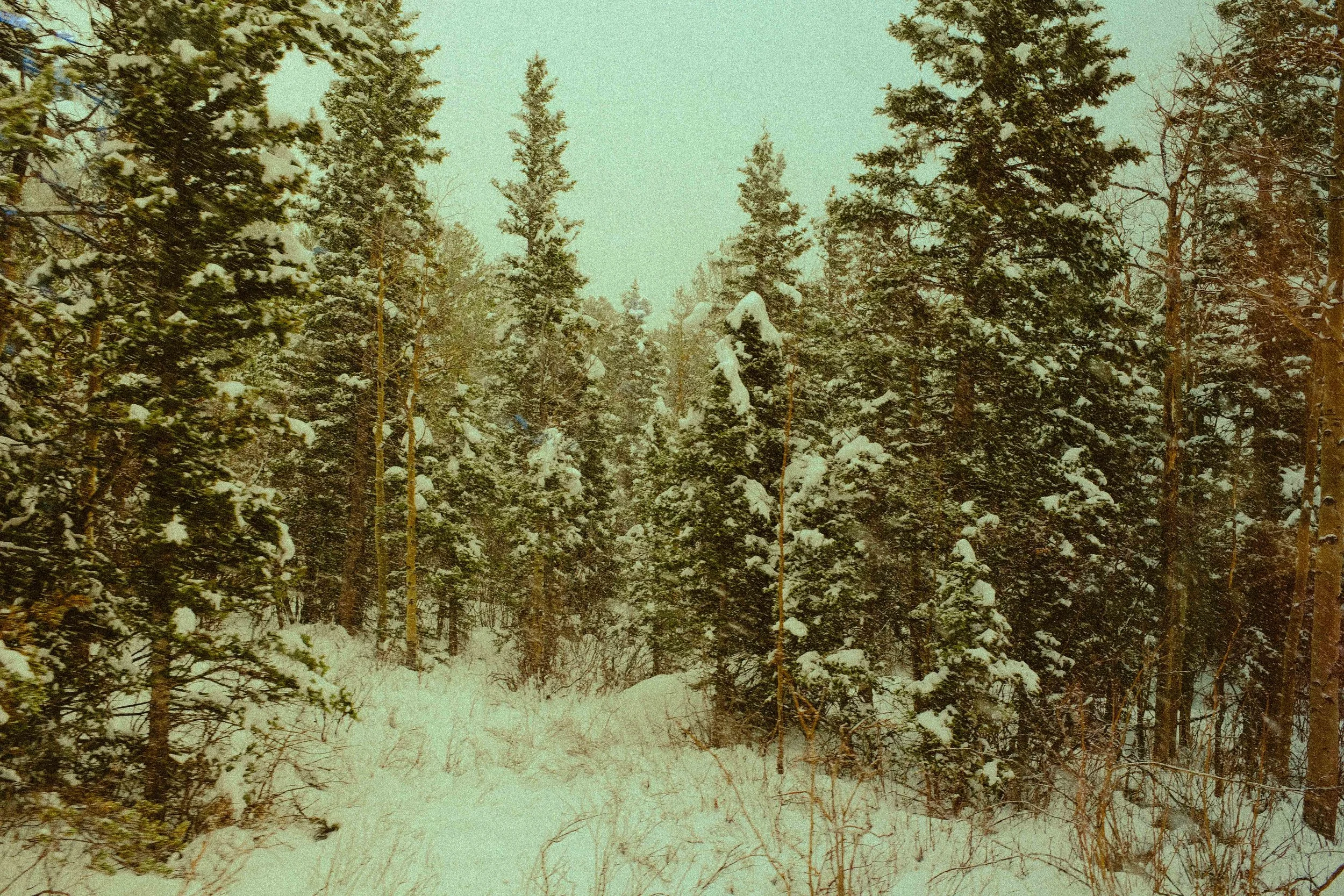 Colorado 2024 — Cog Railroad