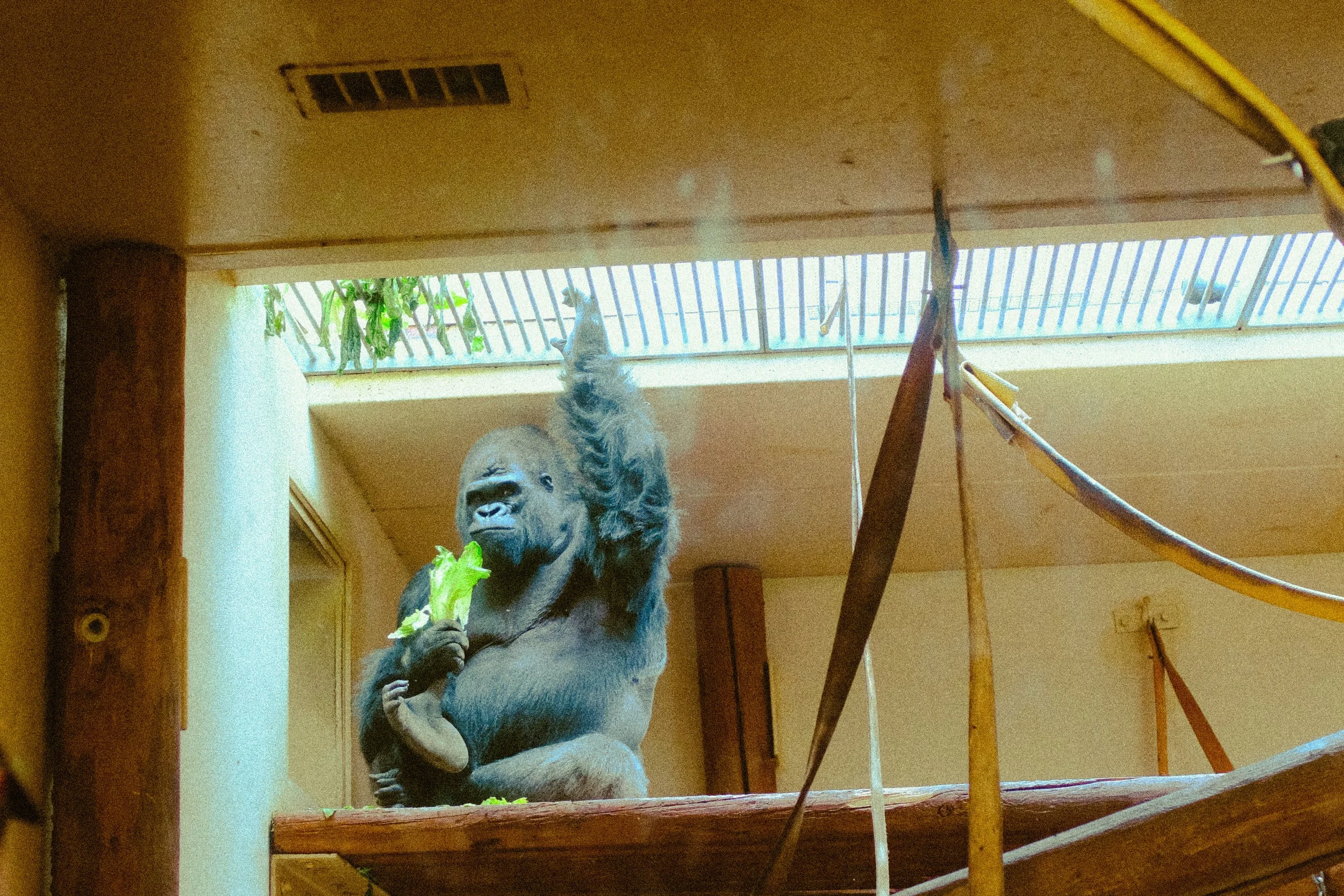 Colorado 2024 — Cheyenne Zoo