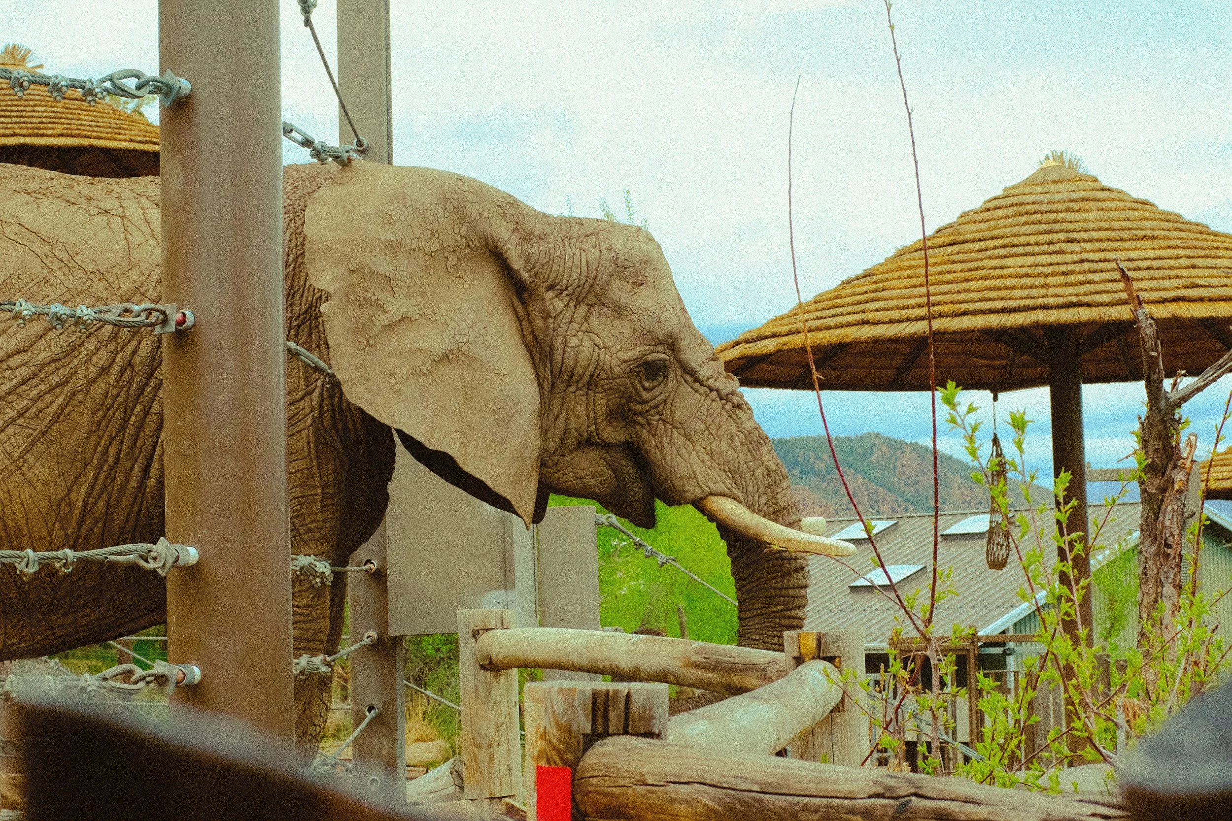 Colorado 2024 — Cheyenne Zoo